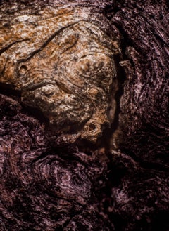 "Howl of Terror", Limited Edition, Abstract Photography by Marko Milić
