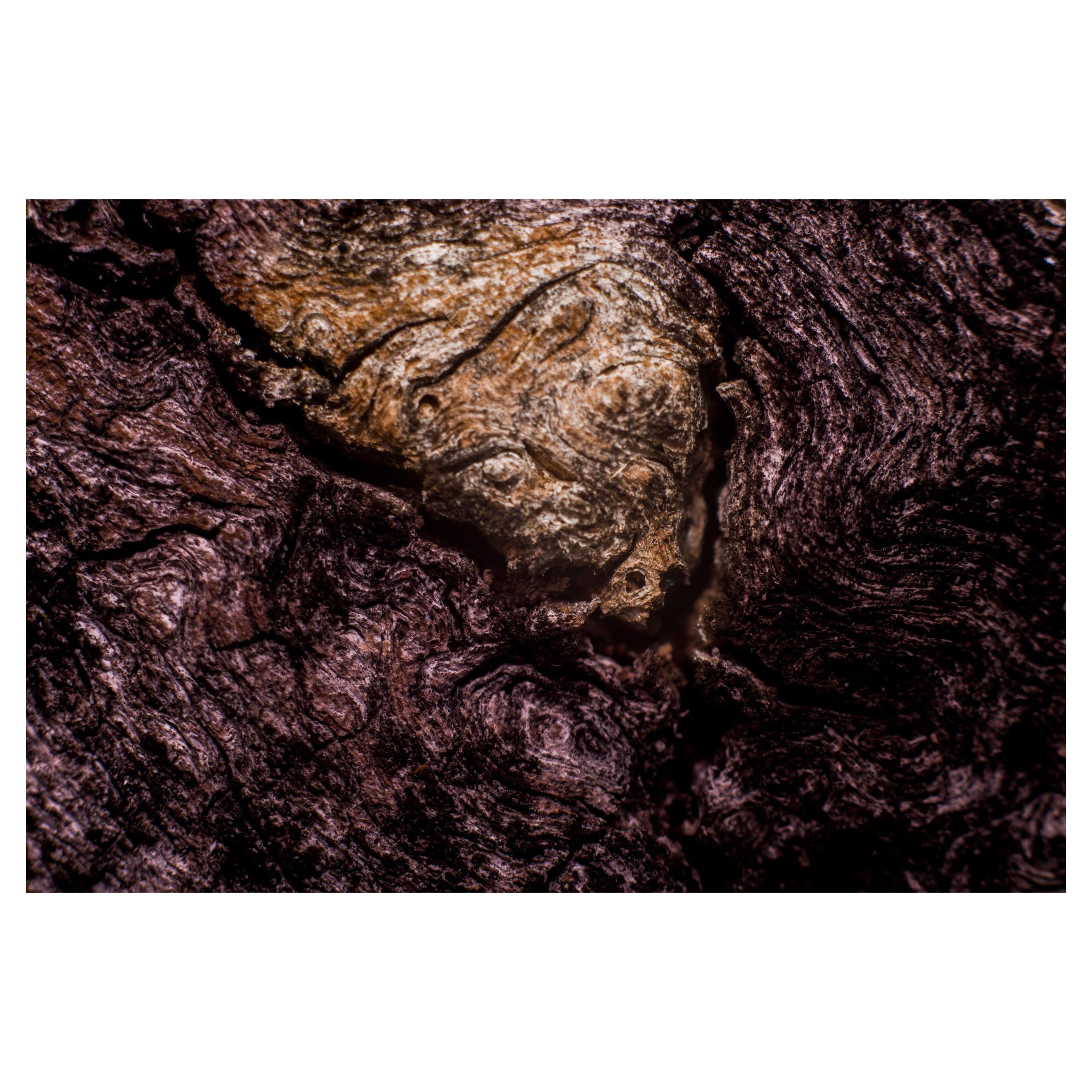 "Hurlement de terreur", édition limitée, photographie abstraite de Marko Milić.