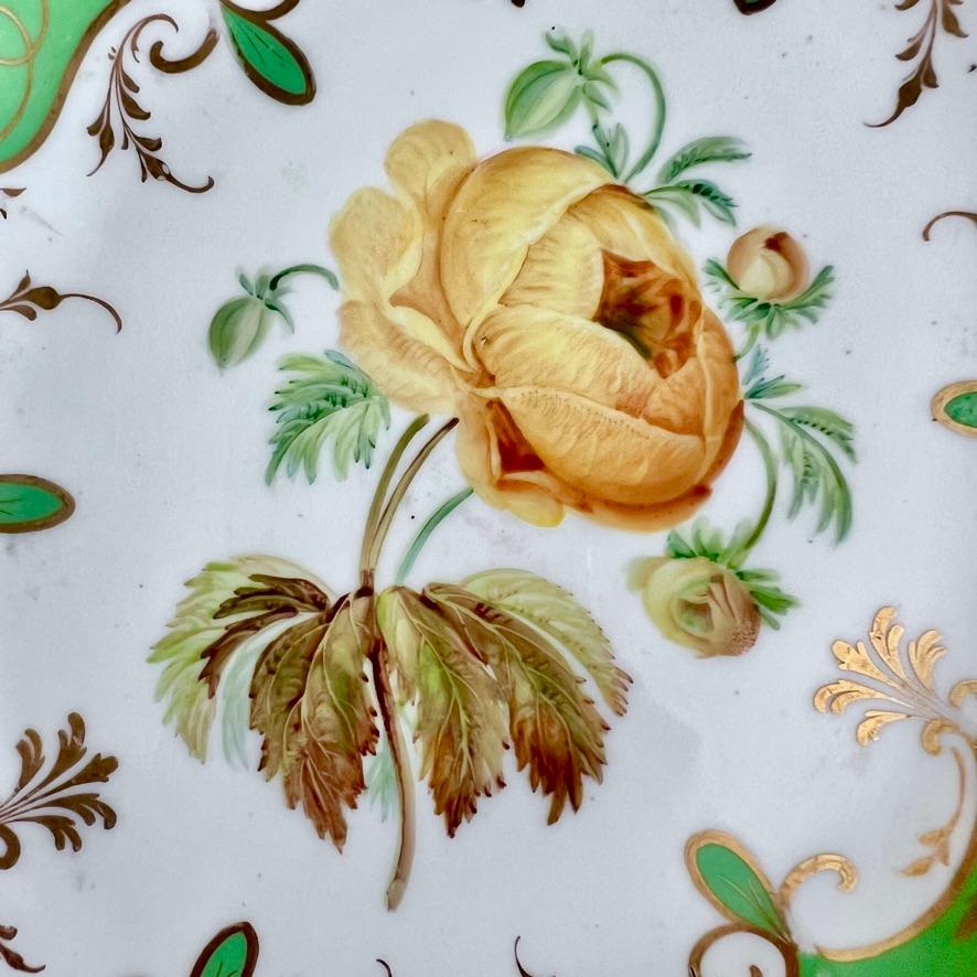 Neorococò Piatto basso H&R Daniel, a forma di regina, verde mela, fiore giallo, 1838 ca.