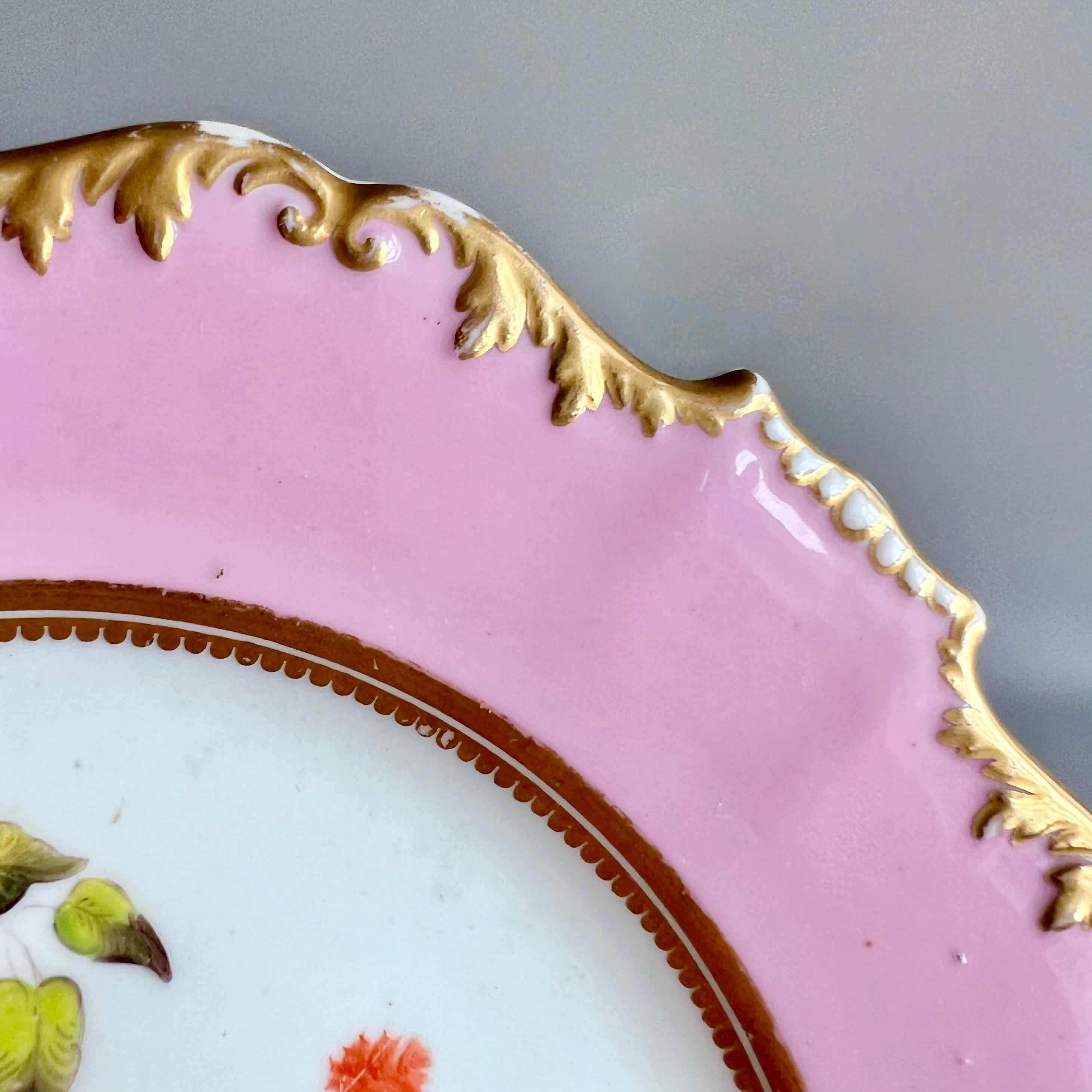 Hand-Painted H&R Daniel Plate, Shrewsbury Shape, Pink with Flowers, Patt. 4205, 1827