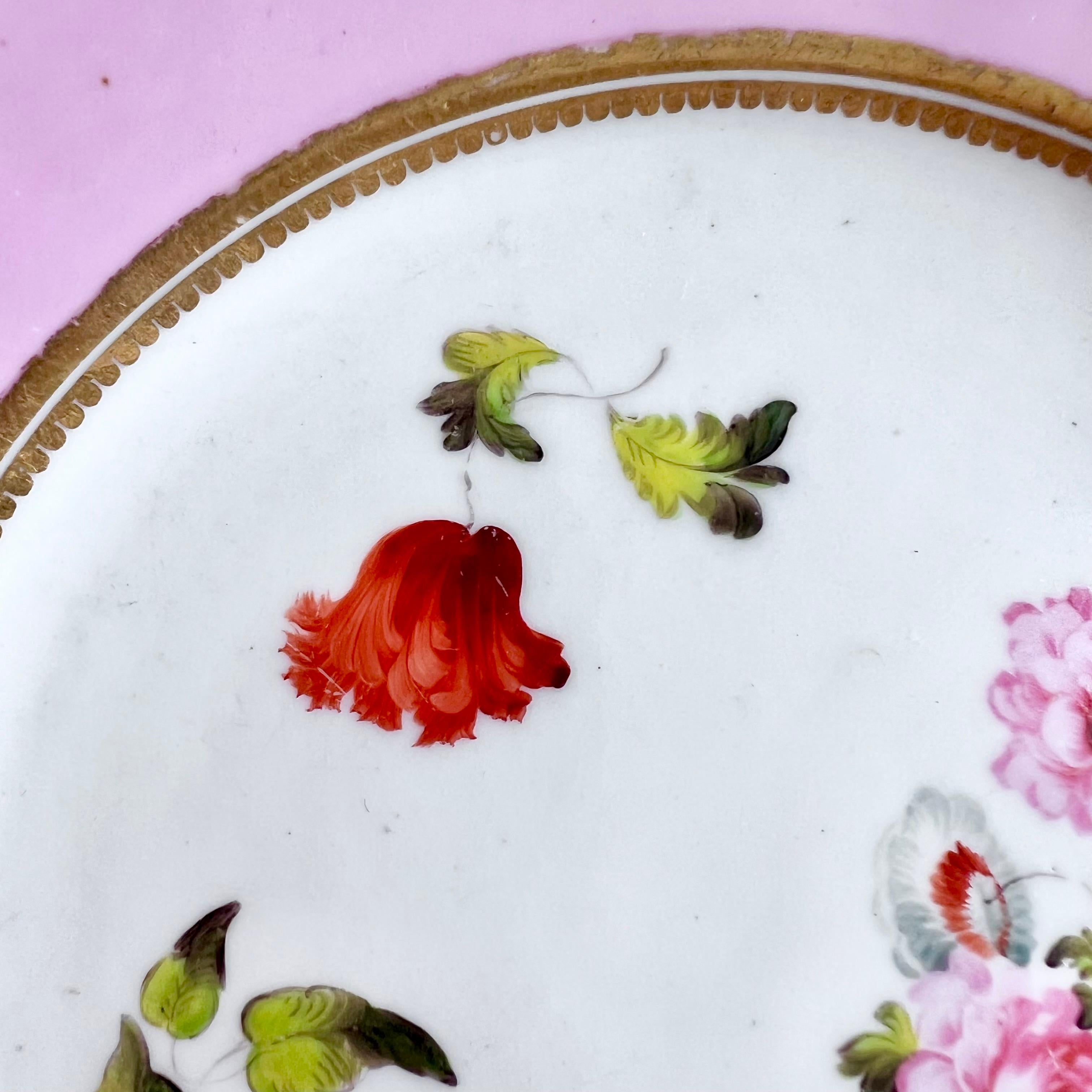 H&R Daniel Plate, Shrewsbury Shape, Pink with Flowers, Patt. 4205, 1827 In Good Condition In London, GB