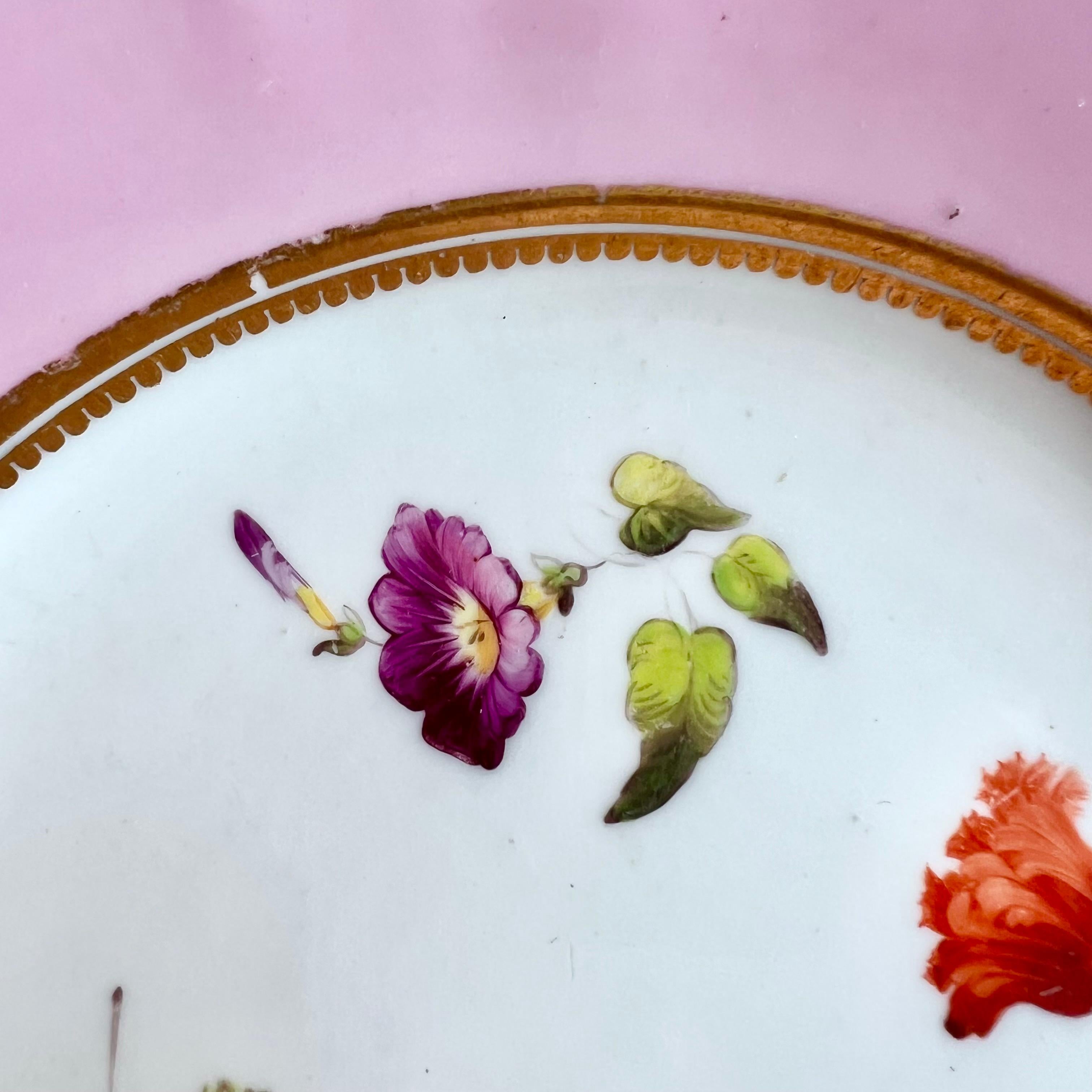 Early 19th Century H&R Daniel Plate, Shrewsbury Shape, Pink with Flowers, Patt. 4205, 1827