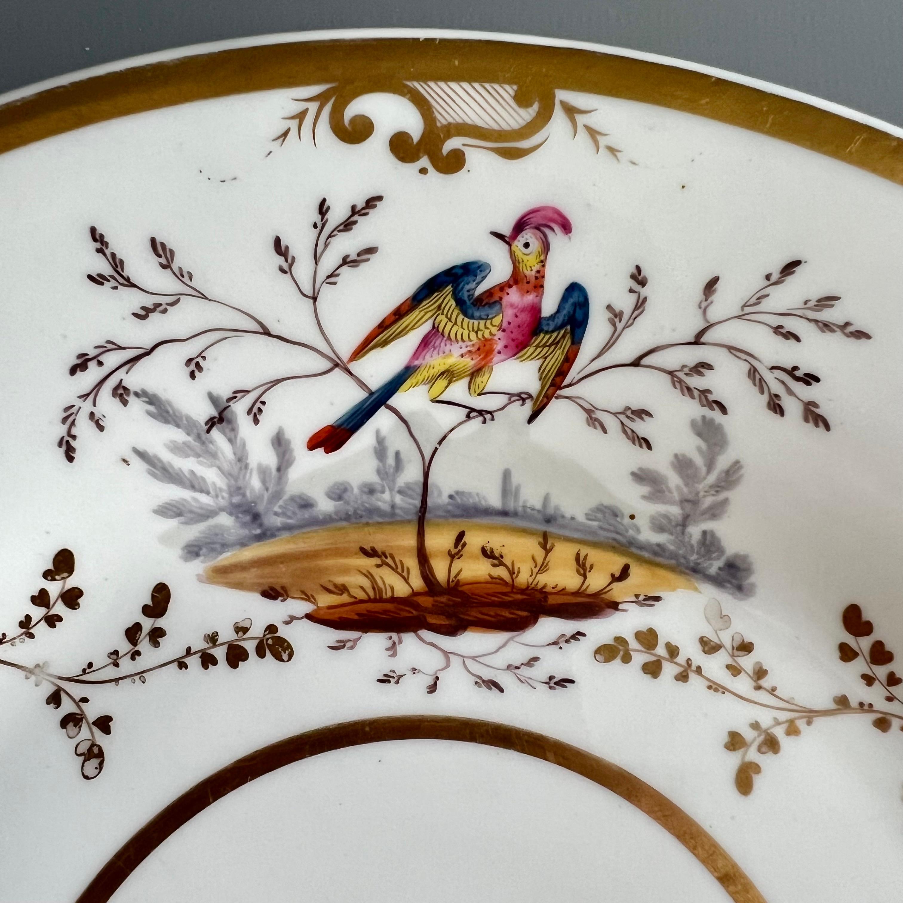 English H&R Daniel Porcelain Dessert Plate, Gilt with Coloured Birds, Regency, 1832