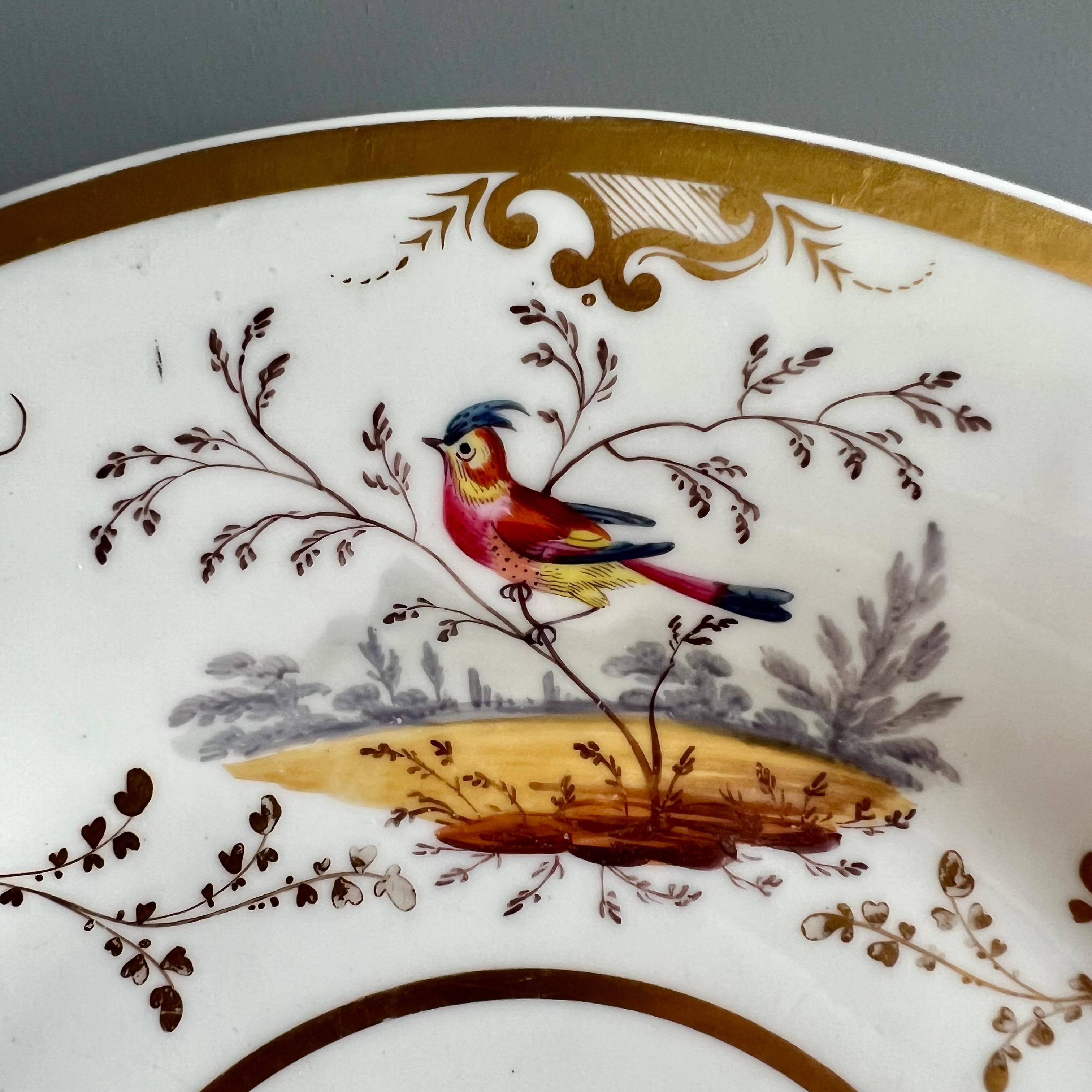 Hand-Painted H&R Daniel Porcelain Dessert Plate, Gilt with Coloured Birds, Regency, 1832