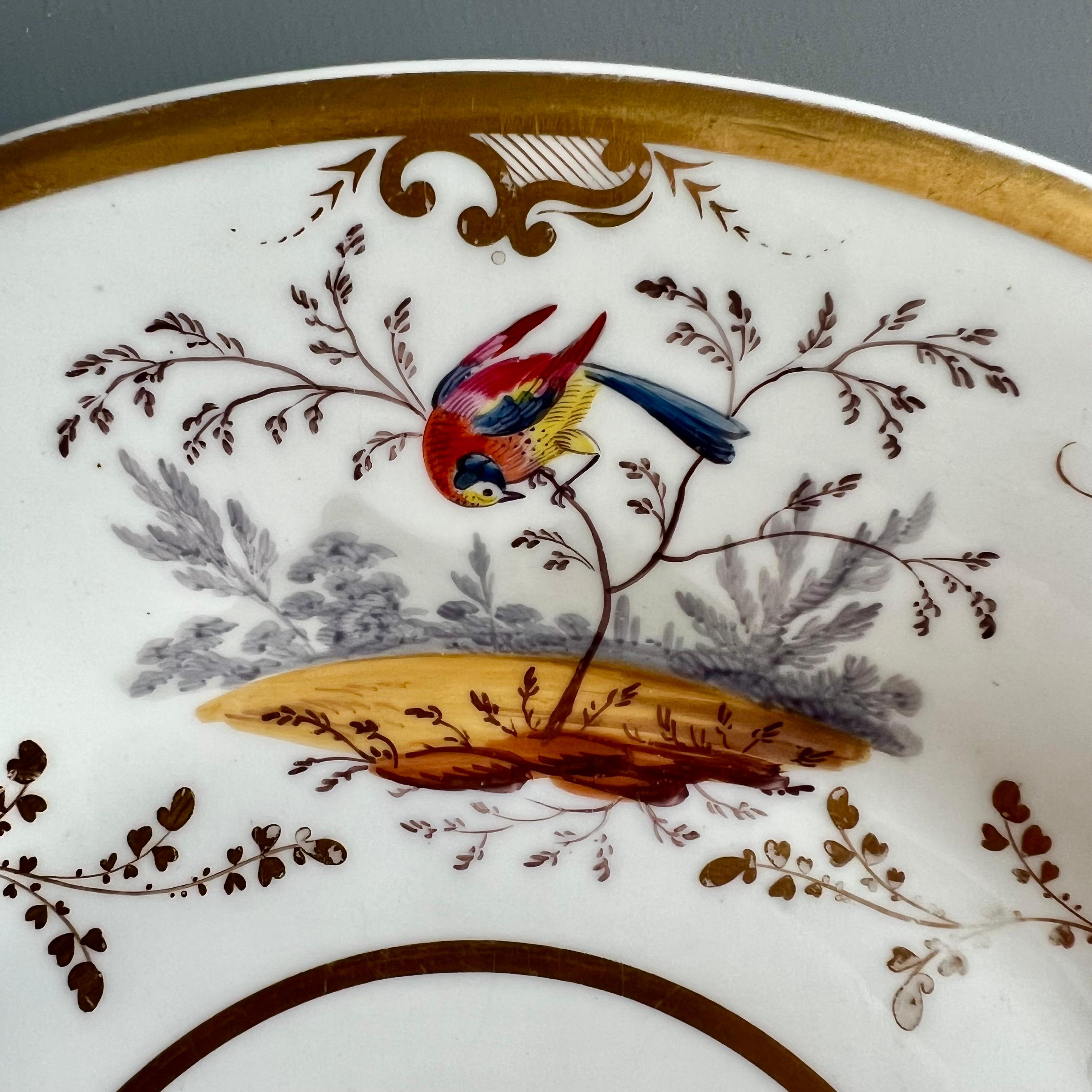 H&R Daniel Porcelain Dessert Plate, Gilt with Coloured Birds, Regency, 1832 In Good Condition In London, GB