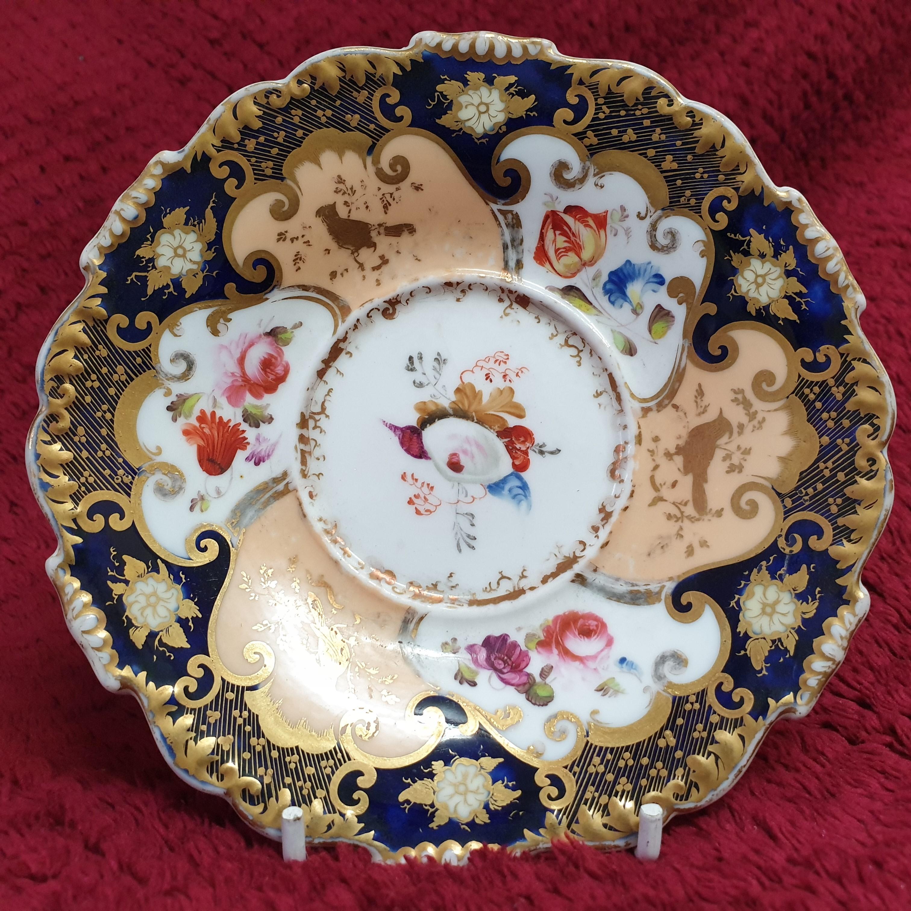 An absolutely beautiful coffee cup/saucer by H&R Daniel in the shrewsbury shape with cartouches of handpainted summer flowers, various sea shells and corals. The inside of the cup is richly decorated in thick gilt with with a cartouche of summer