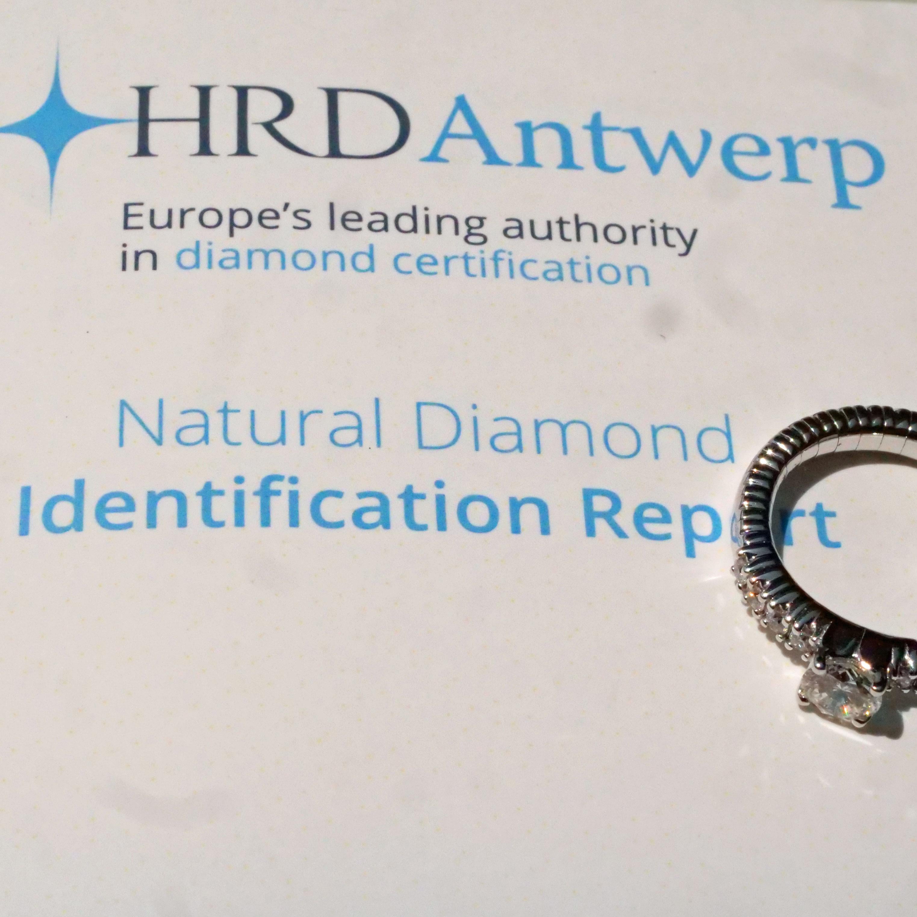 HRD-zertifizierter flexibler Brillantring 0,70 ct Silhouette Bentner made in Germany für Damen oder Herren im Angebot