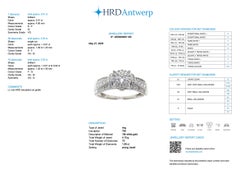 Bague Halo certifiée HRD en or blanc avec diamants naturels