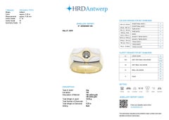 HRD Certified Signet Ring White and Yellow Gold with Diamond