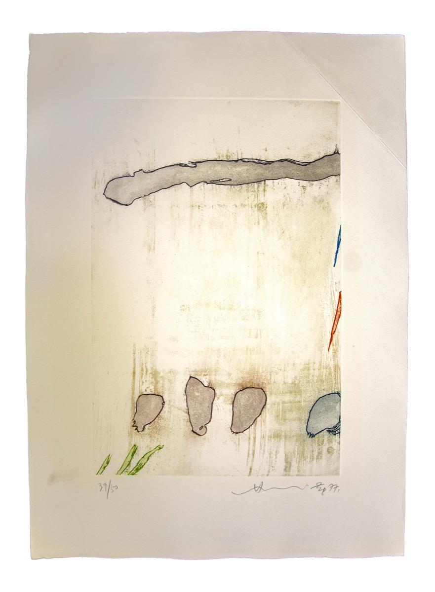 Abstract composition is an original colored etching realized by Hsiao Chin in 1977.

The artwork is hand-signed and dated in pencil on the lower right. Numbered on the lower left. 

Edition of 50 copies.

The label of the certificate of authenticity