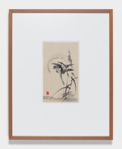 A pair of wild geese flies back into the reed (#006857)