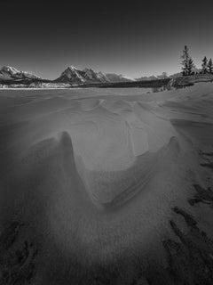 Characters of Snow #2 - Abraham Lake, Alberta - black and white photography