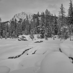 Characters of Snow #3 - Natural Bridge B.C. - black and white photography