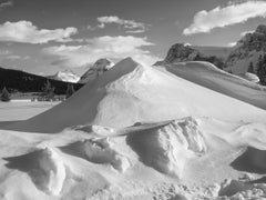 Characters of Snow #4, Bow Lake, Alberta - black and white photography