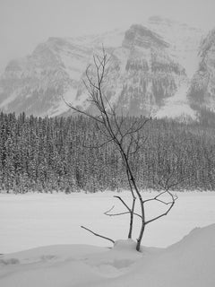 Characters of Snow #7 - Lake Louise, Alberta - black and white photography