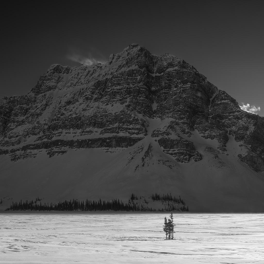 Huachao Sun Black and White Photograph - Characters of Snow #9 - Bow Lake, Alberta - black and white photography