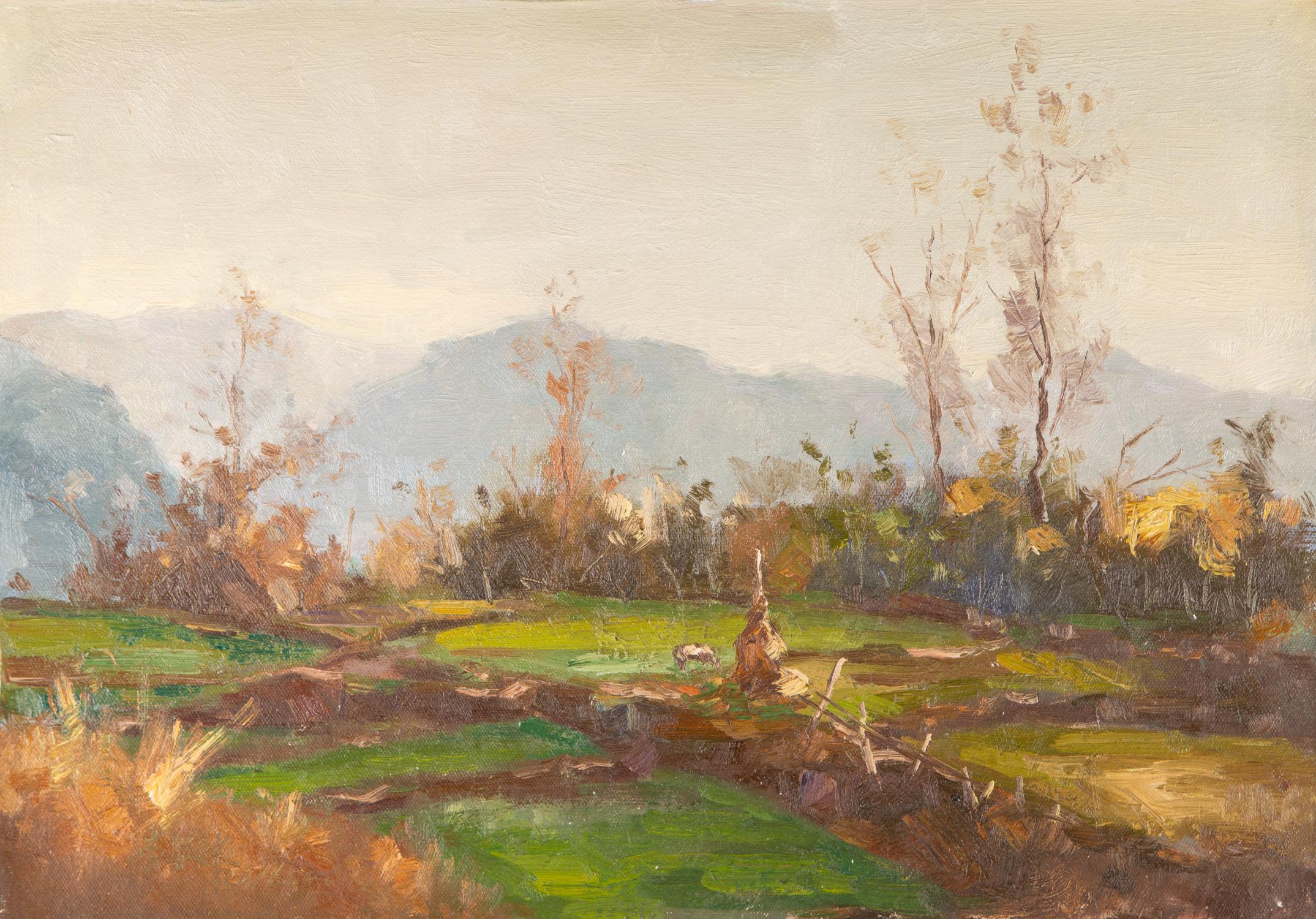  Titolo: Vista sui terreni agricoli
 Medium: Olio su tela
 Dimensioni: 27,5 x 19,25 pollici
 Cornice: Possibilità di incorniciatura!
 Età: anni 2000
 Condizioni: Il dipinto sembra essere in ottime condizioni.
 Nota: questo quadro non è teso
