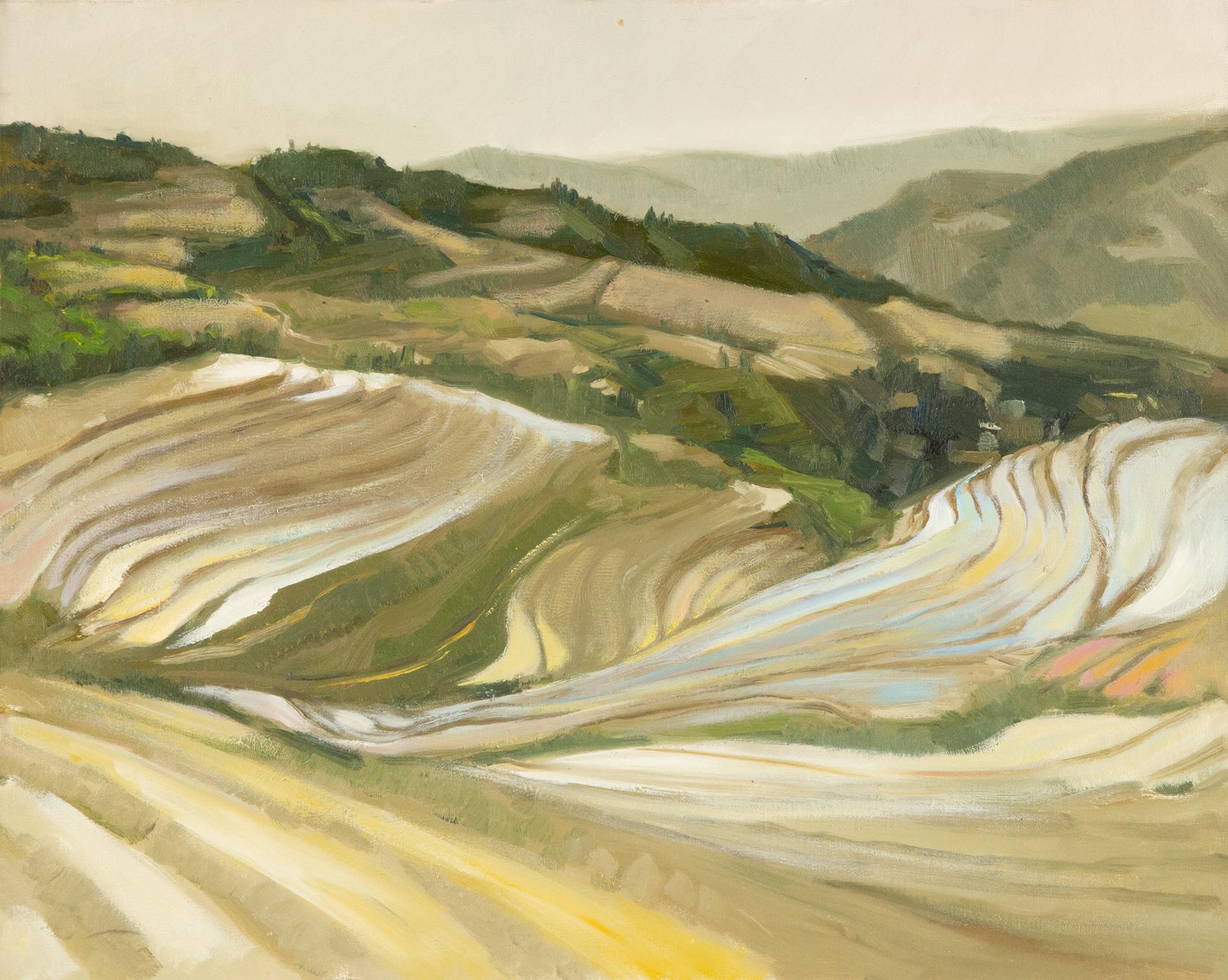 Title: Terraces
Medium: Oil on canvas
Size: 15.5 x 19 inches
Frame: Framing options available!
Condition: The painting appears to be in excellent condition.
Note: This painting is unstretched
Year: 2000 Circa
Artist: Huang Dongxing
Signature: