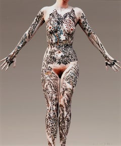 Cuerpo Shan-Shui 4