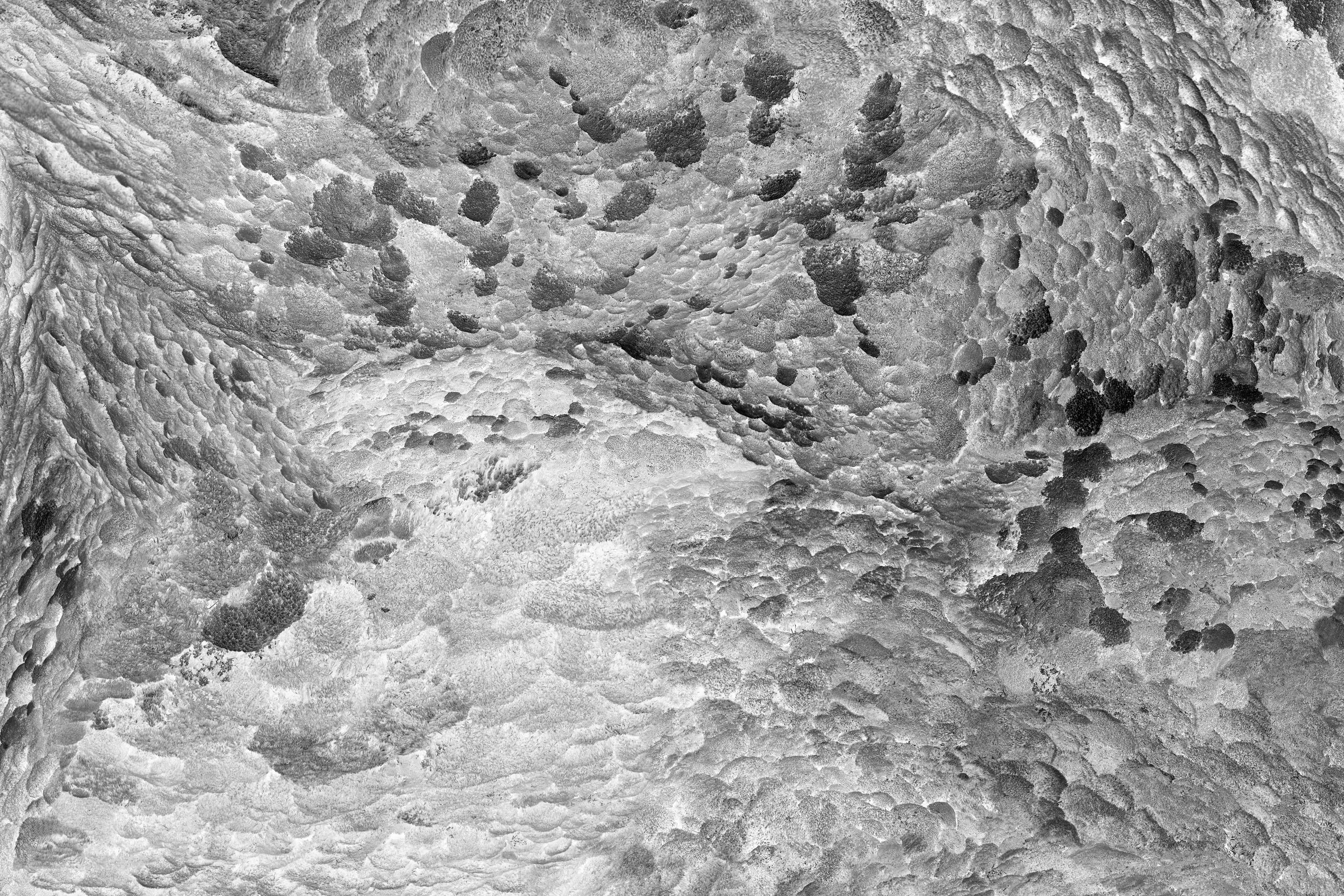 Feldforschung 02 - Contemporary Abstract Sponge Texture Photograph - Gray Black and White Photograph by Hubert Blanz