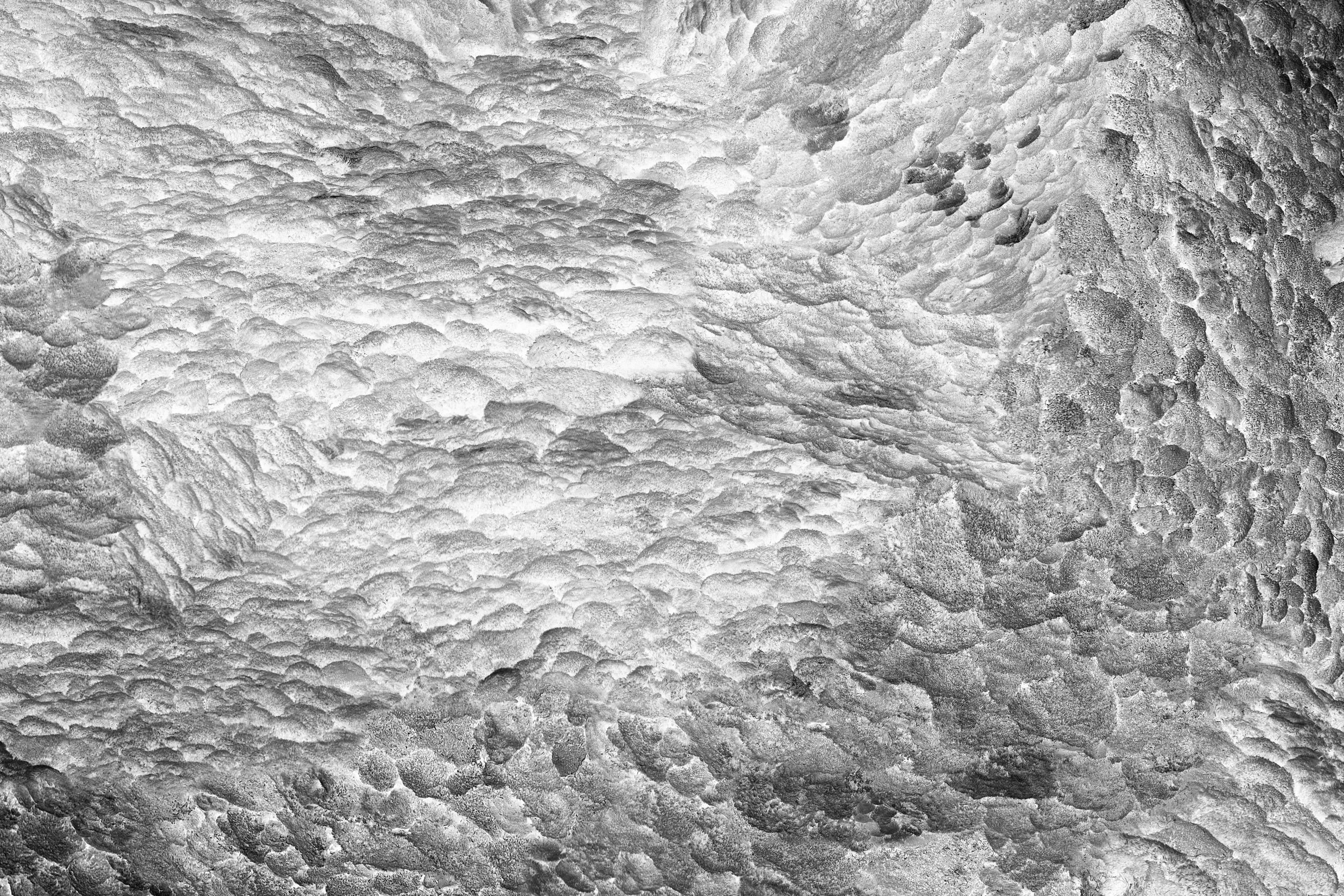 Feldforschung 02 - Contemporary Abstract Sponge Texture Photograph For Sale 1