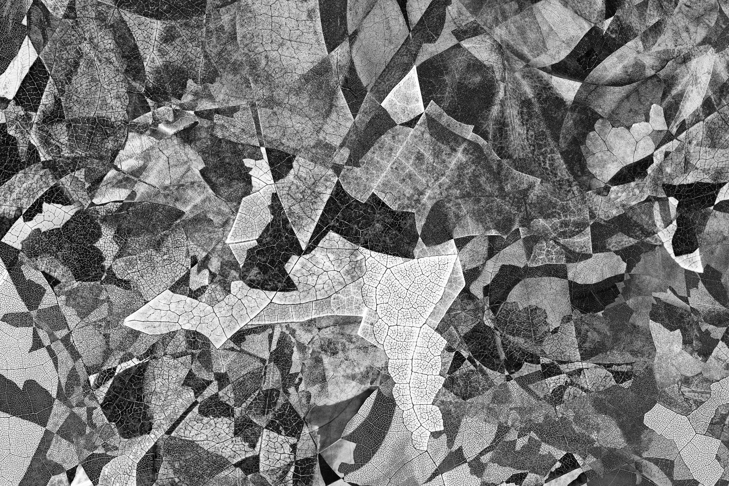 Feldforschung 05 - Contemporary Abstract Diamond Texture Photograph 1