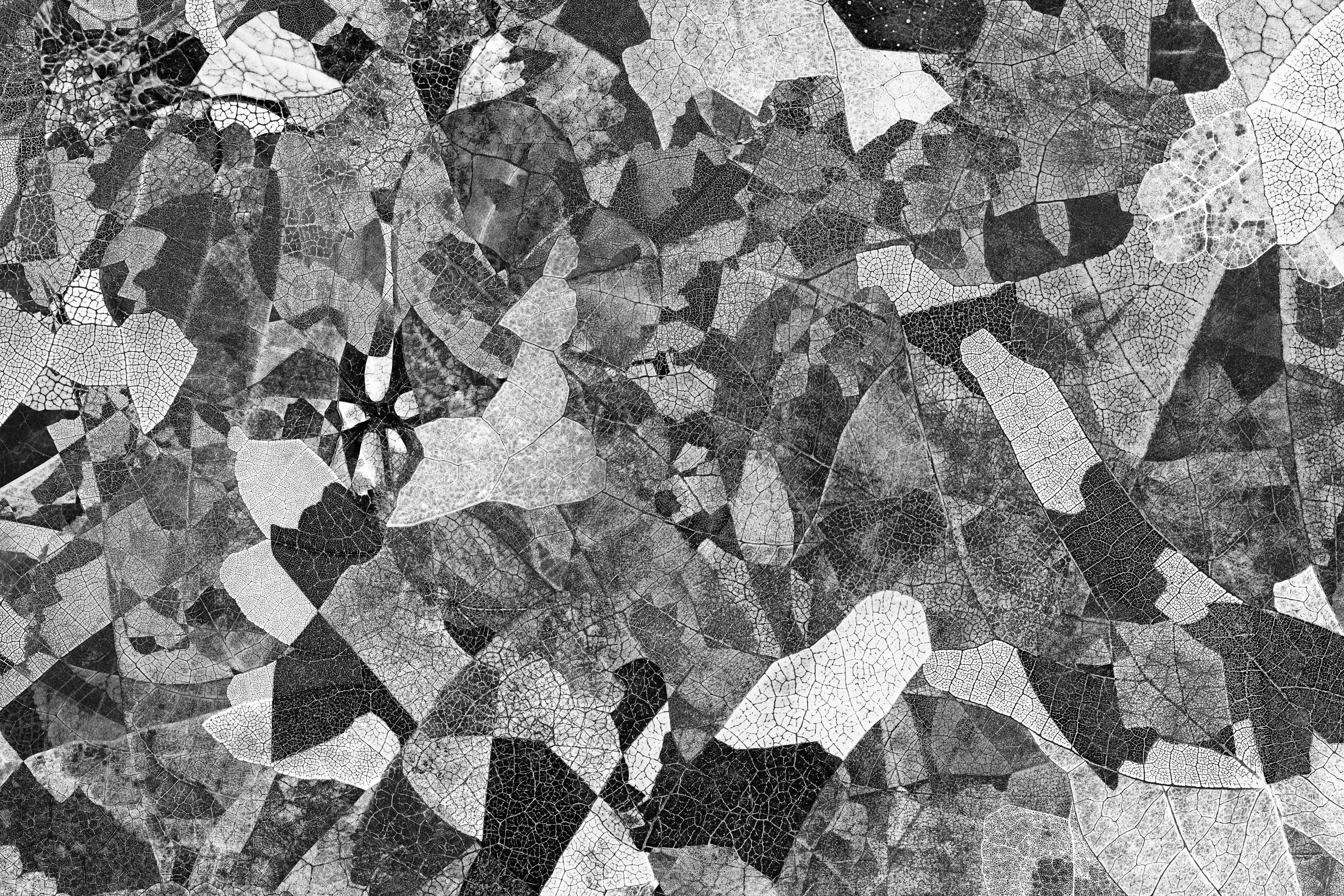 Feldforschung 05 - Contemporary Abstract Diamond Texture Photograph 2