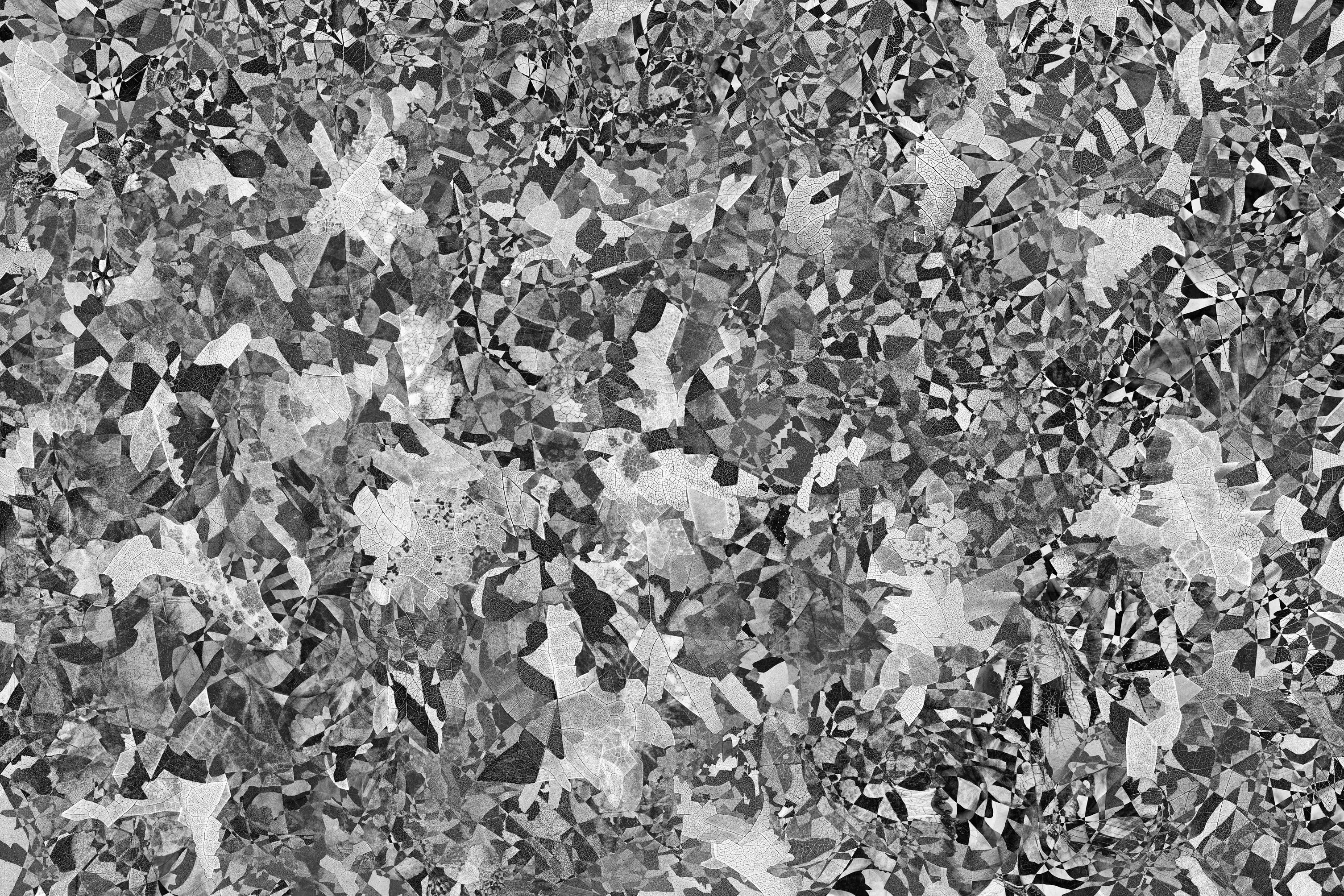 Hubert Blanz
Feldforschung 05 - Zeitgenössische abstrakte Diamant-Textur-Fotografie
Auflage 2/3 + 1 AP
Schwarzer und weißer Fotodruck
130 x 190 cm
Der Druck ist ungerahmt und wird mit einem vom Künstler signierten Aufkleber geliefert.

Nachdem er