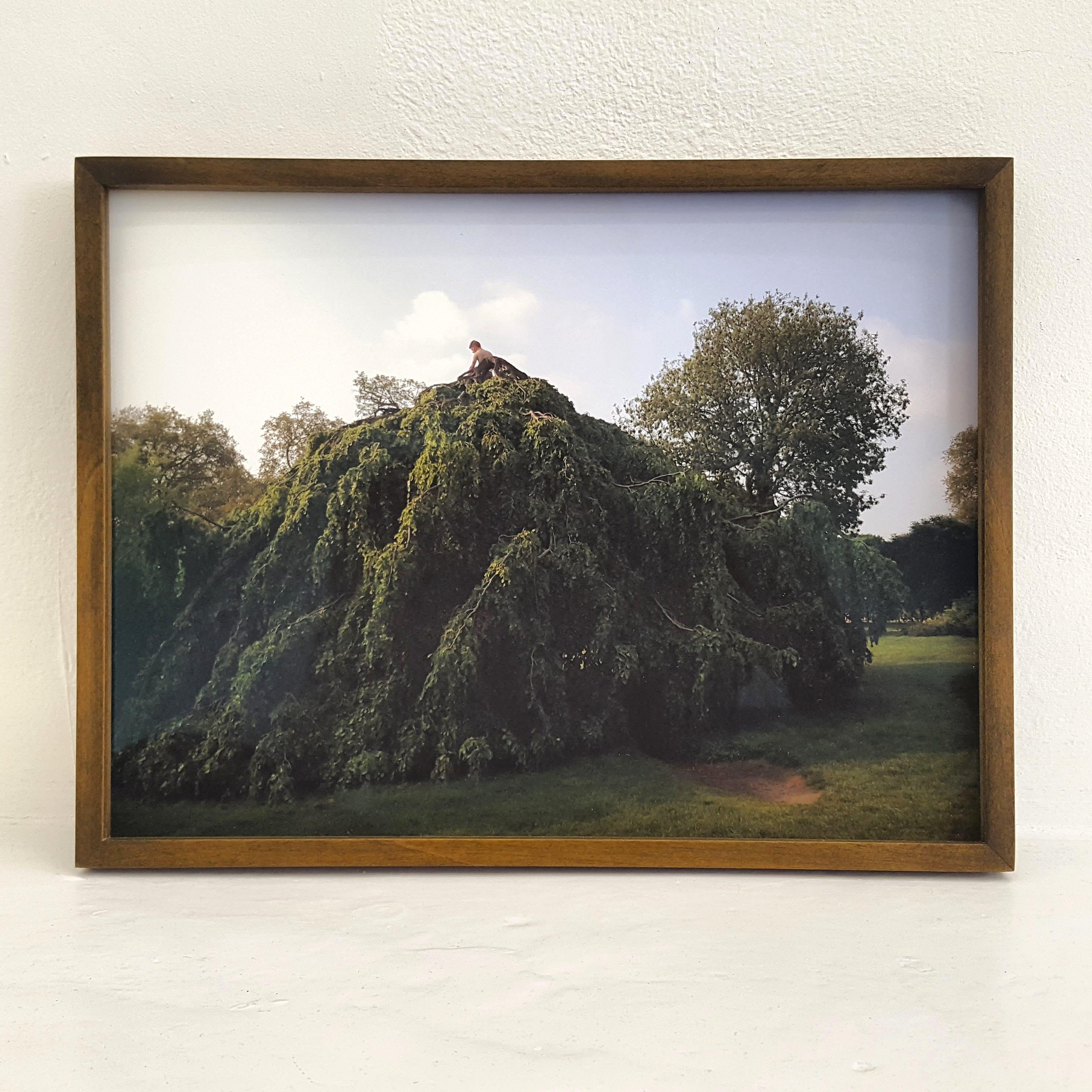 Prince of Hyde - Photographie contemporaine de paysage en couleur - Noir Landscape Photograph par Hubert Blanz