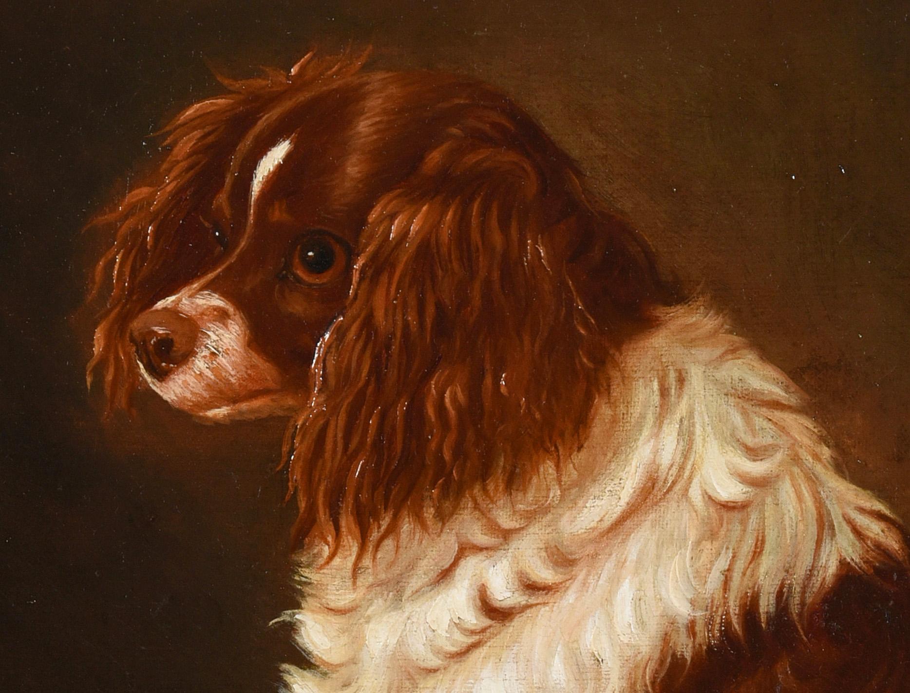 Antique Dog Portrait: 
