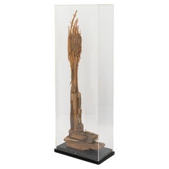 Hubert Long "Spirit" Driftwood Sculpture, 1975