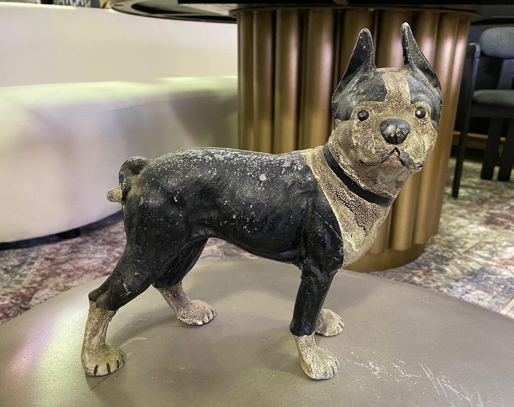 A wonderful, hand-painted Hubley Manufacturer Company Boston terrier cast iron bank/ doorstop. The piece retains its original paint and finish and has a beautiful age-appropriate patina. He is certainly a cute little guy. 

Would make for a great