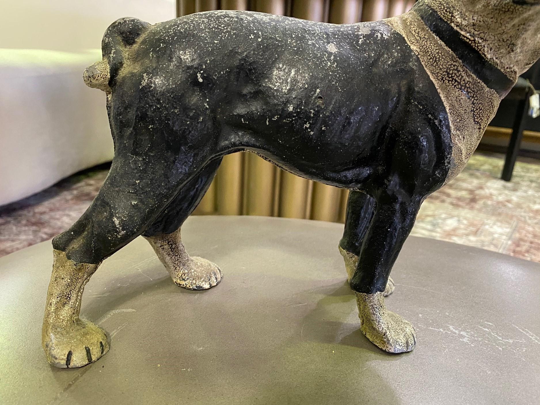 cast iron boston terrier