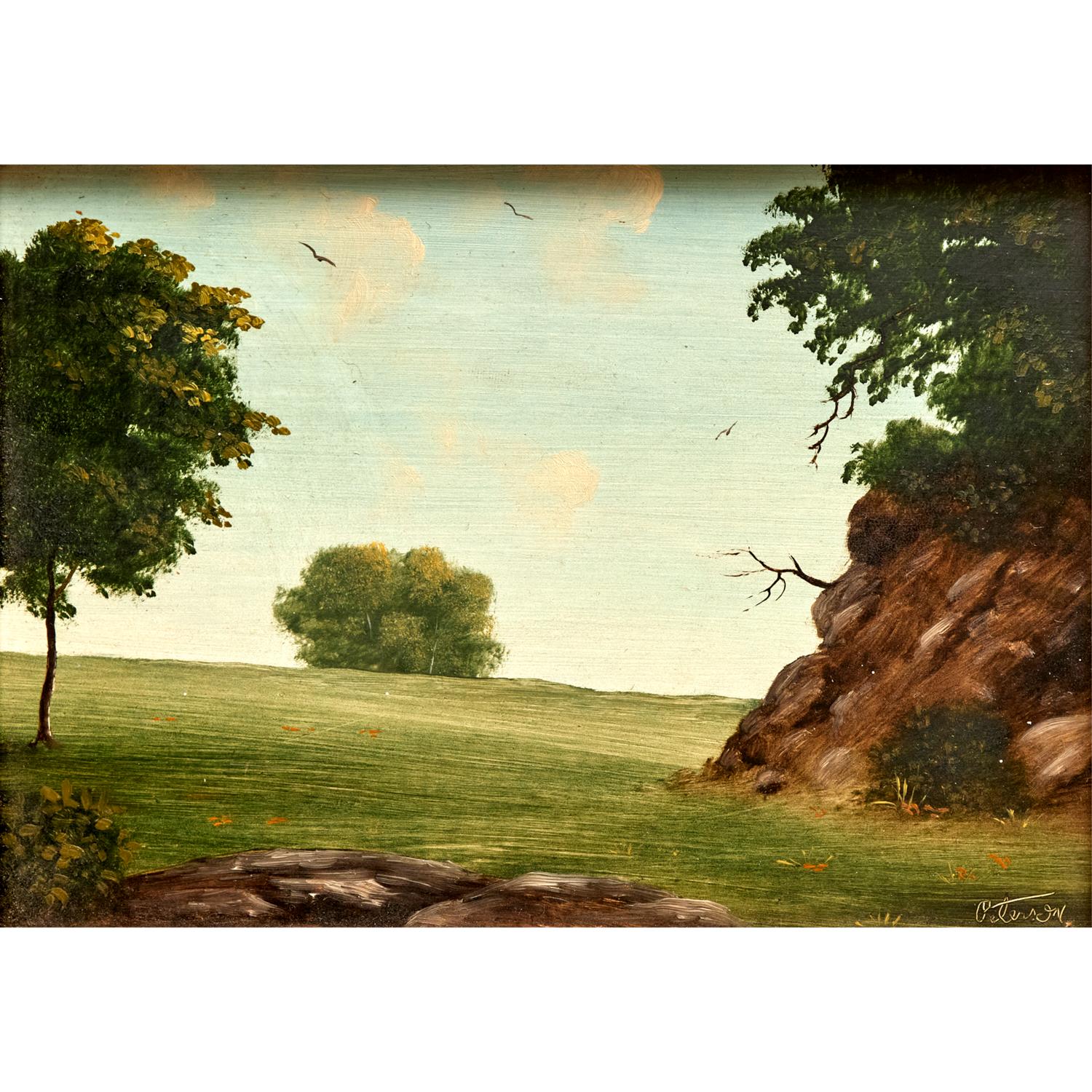 Öl auf Karton  Signiert unten rechts  Gerahmt

Eine ruhige und intime Landschaft des amerikanischen Künstlers Richard Peterson (geb. 1947), in Öl auf Karton gemalt. Die Komposition zeigt ein offenes Feld, das sanft zum Horizont hin abfällt und von