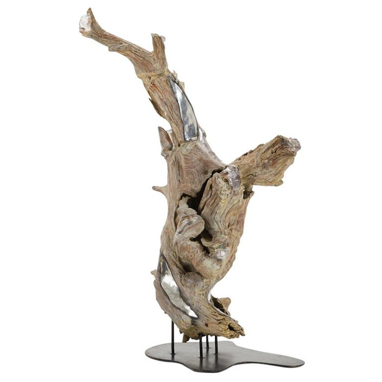 Huge 1970s Driftwood Tree Sculpture For Sale at 1stDibs driftwood