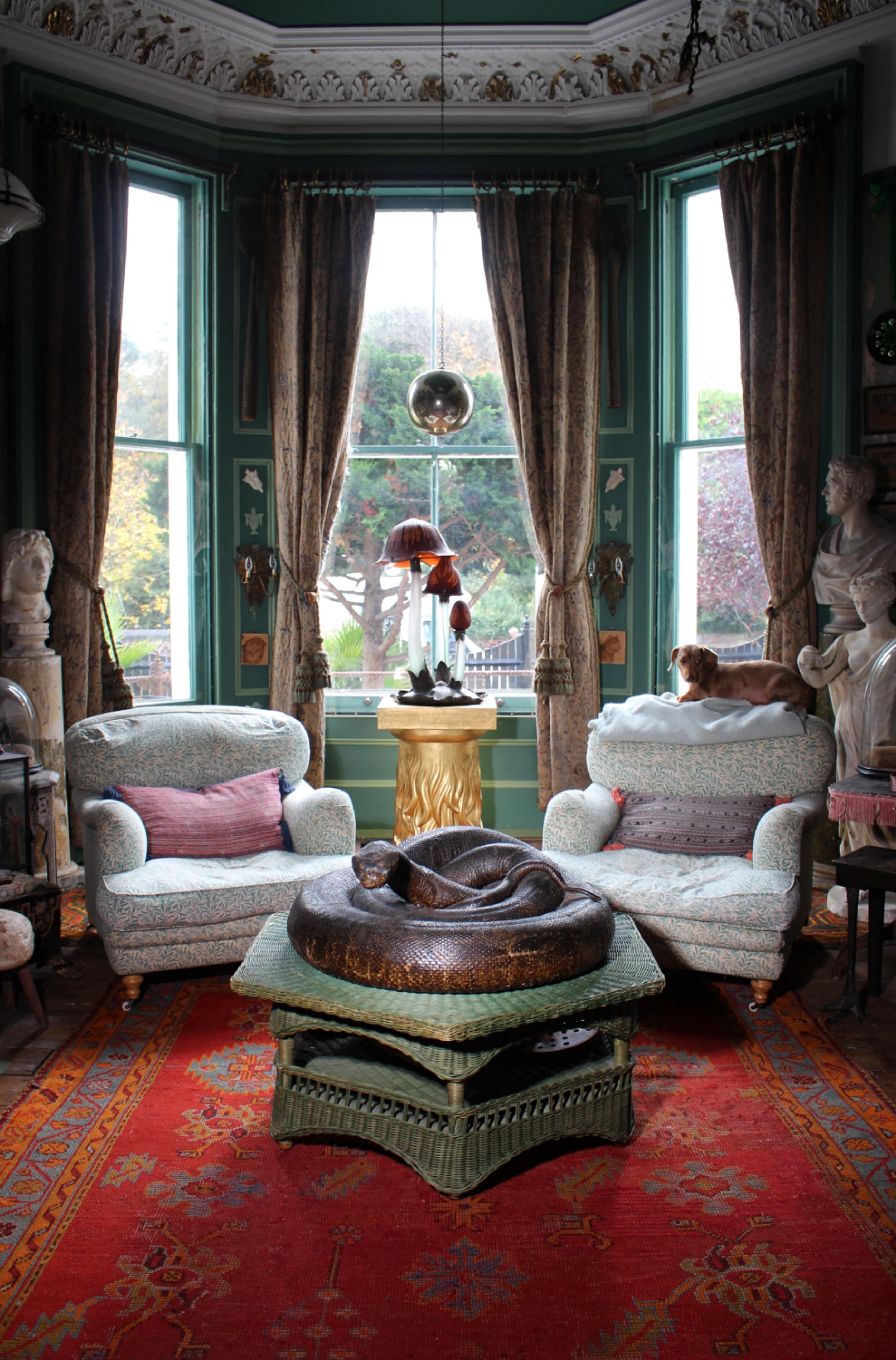 Enorme serpente a spirale del 19° secolo A.I.C. Storia naturale del pitone birmano in vendita 6