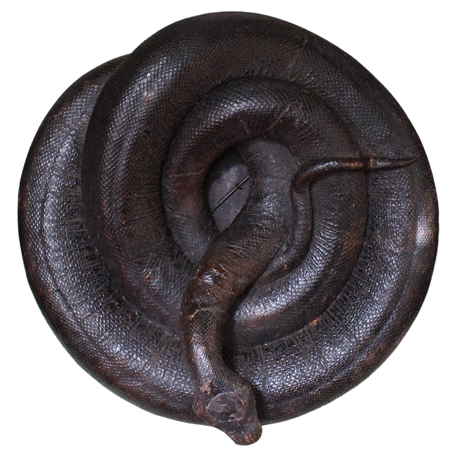 Enorme serpente a spirale del 19° secolo A.I.C. Storia naturale del pitone birmano in vendita