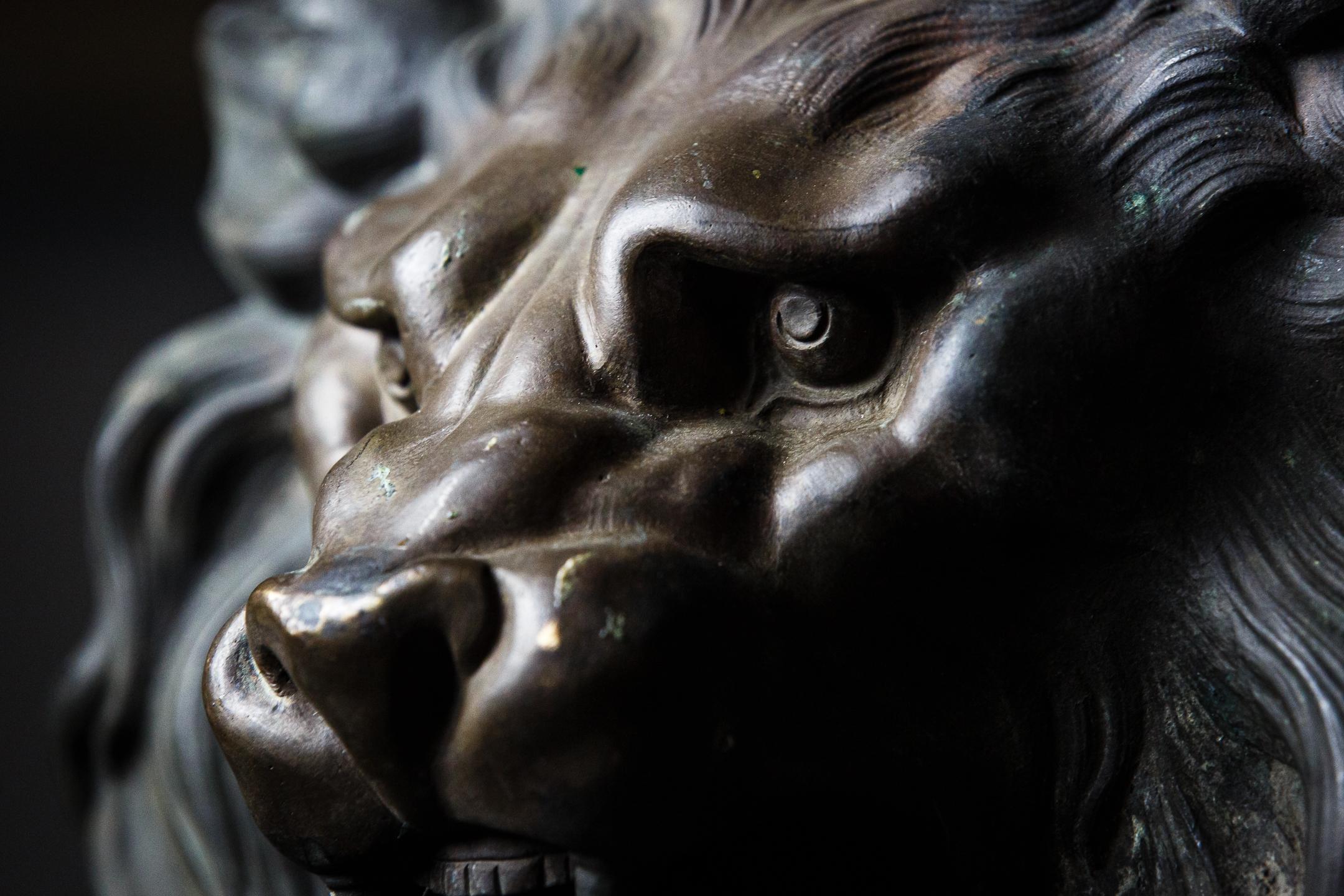 Huge 19th Century Bronze Lion Mask Chateau Door Knocker 9
