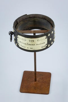 Huge 19th Century Leather and Brass Dog Collar