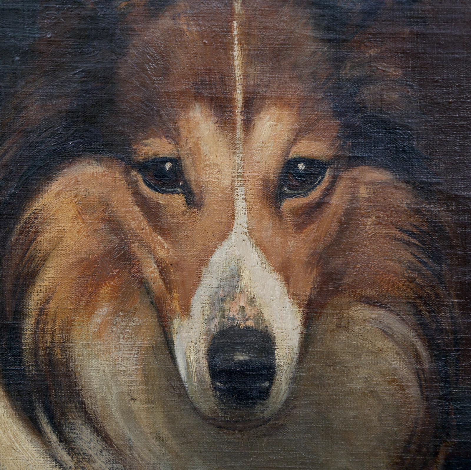 rough collie painting