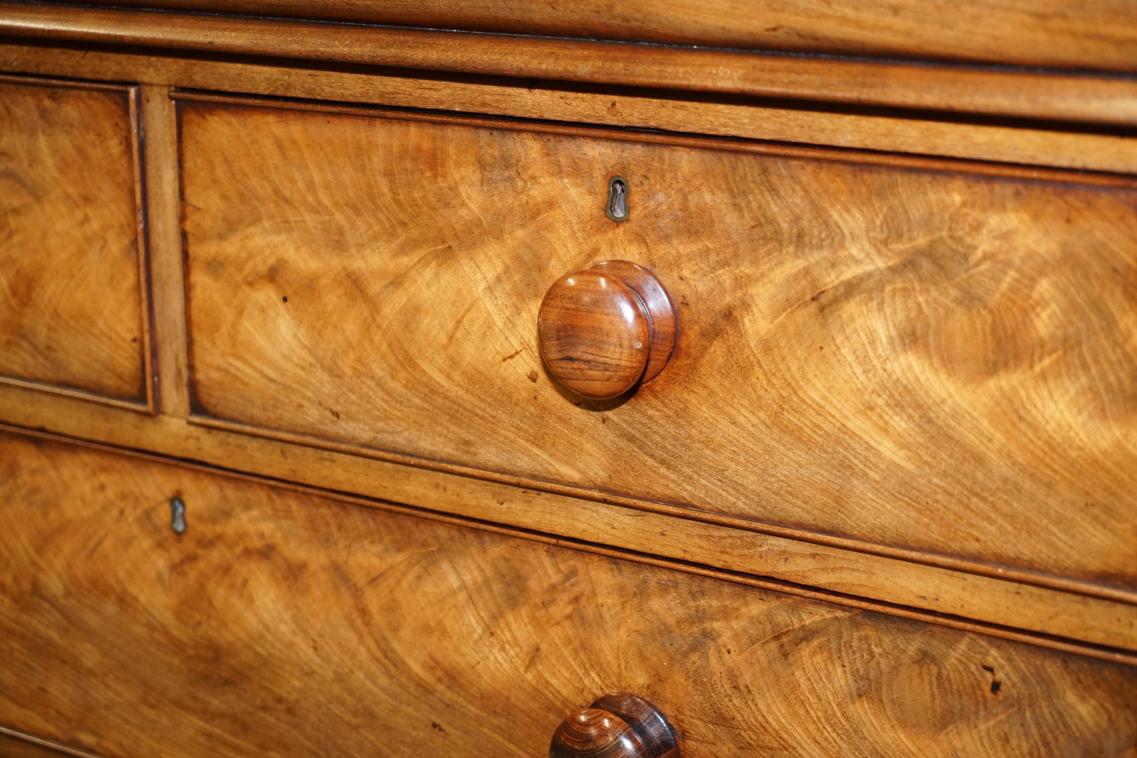 Huge 19th Century Victorian Light Flamed Hardwood Chest of Drawers Hidden Drawer For Sale 4