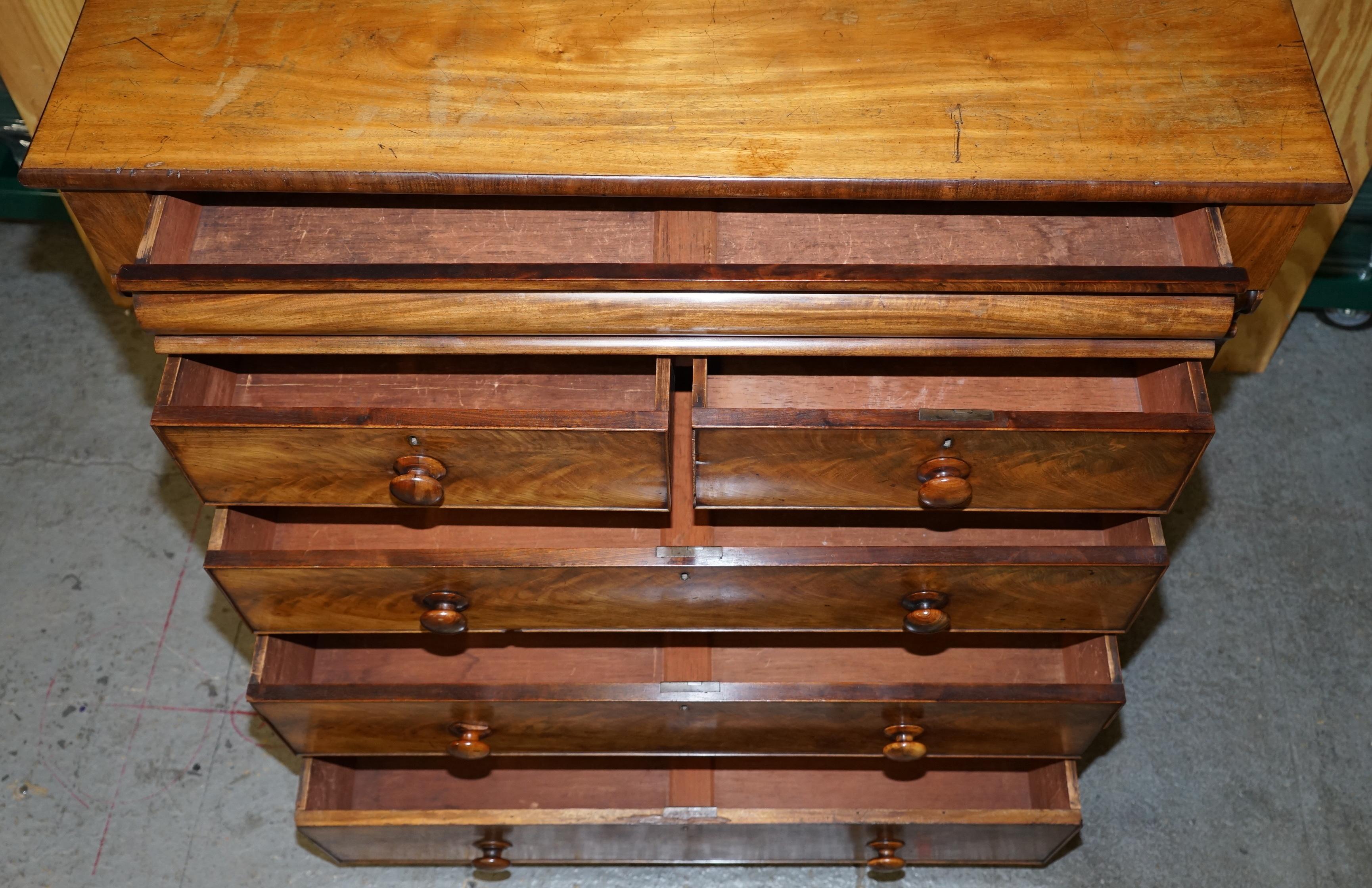Huge 19th Century Victorian Light Flamed Hardwood Chest of Drawers Hidden Drawer For Sale 9