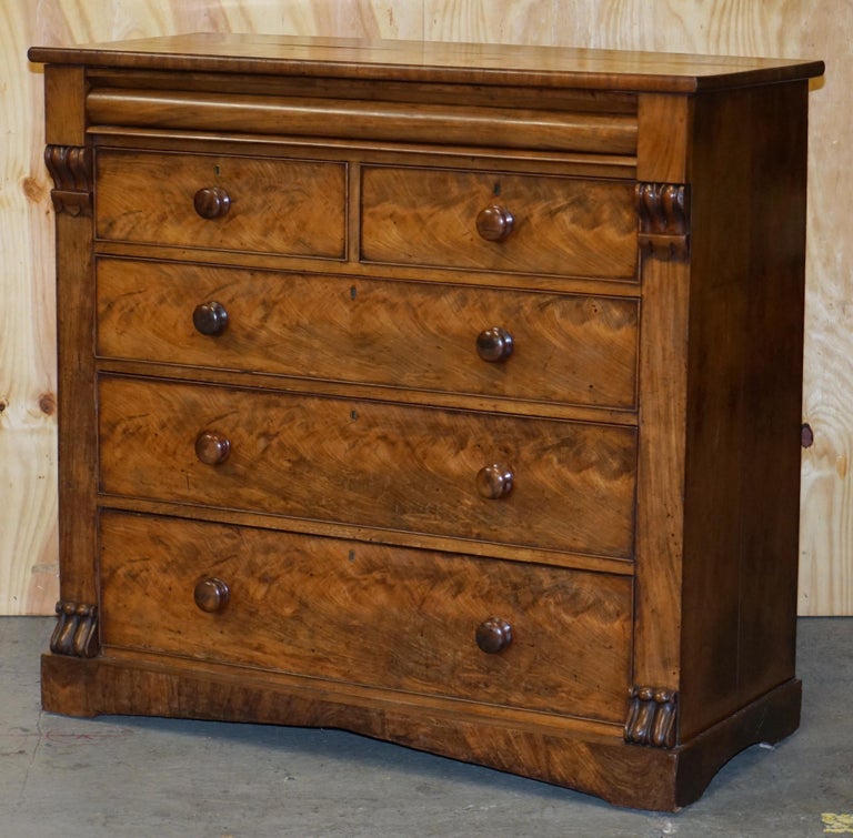 Huge 19th Century Victorian Light Flamed Mahogany Chest of Drawers
