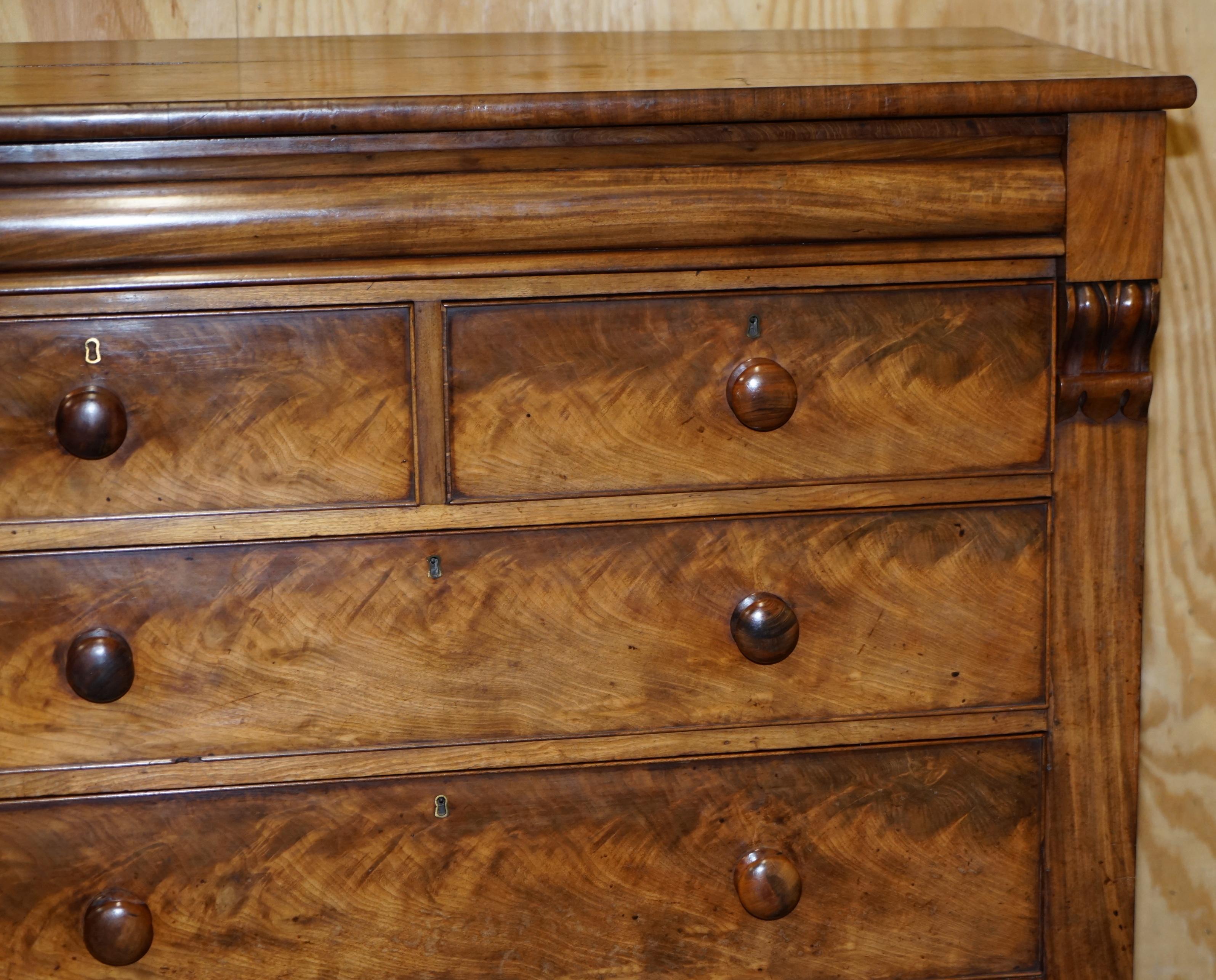 Enorme cassettiera vittoriana del XIX secolo in legno duro fiammato chiaro con cassetto nascosto in vendita 1