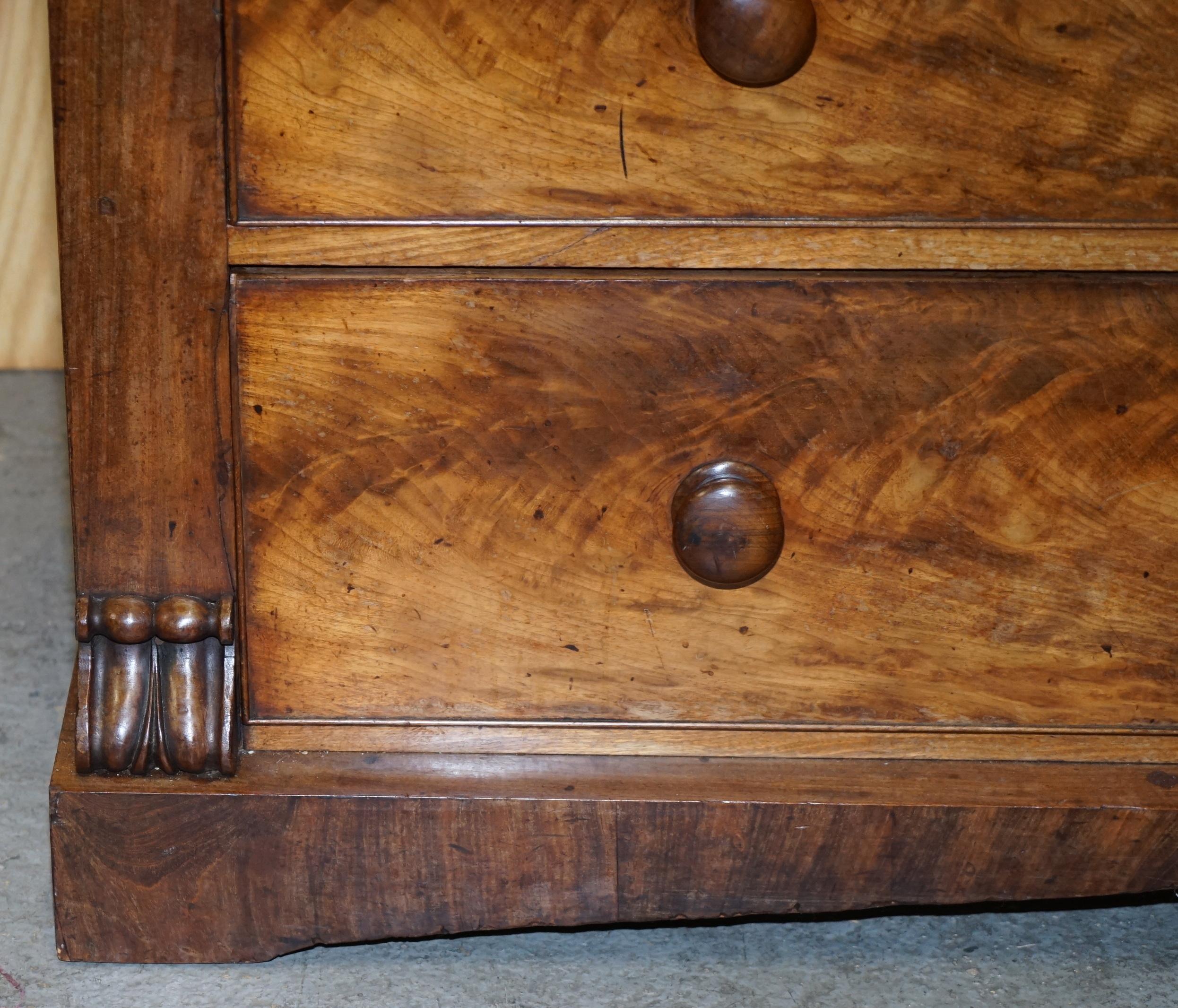 Enorme cassettiera vittoriana del XIX secolo in legno duro fiammato chiaro con cassetto nascosto in vendita 2