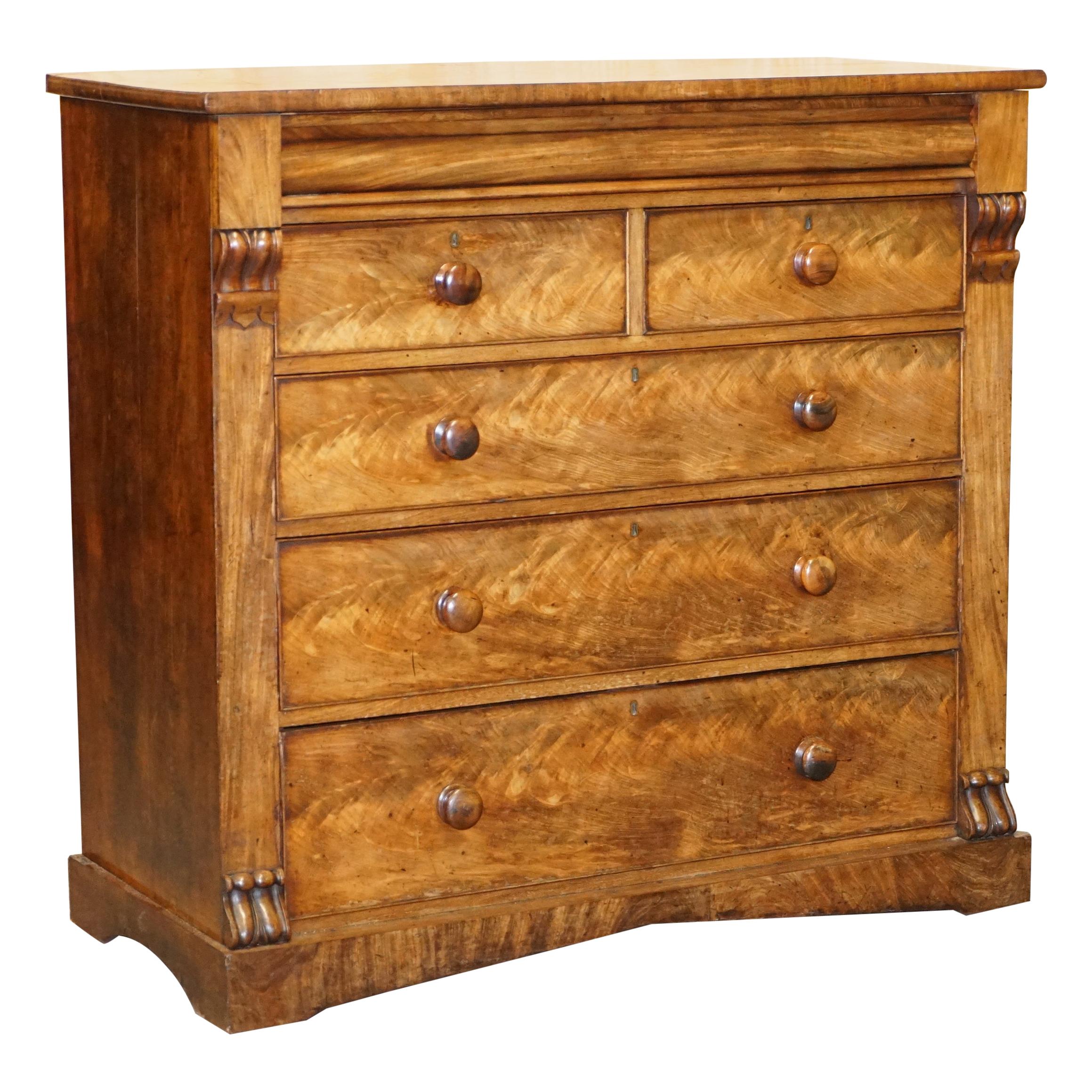 Huge 19th Century Victorian Light Flamed Hardwood Chest of Drawers Hidden Drawer For Sale