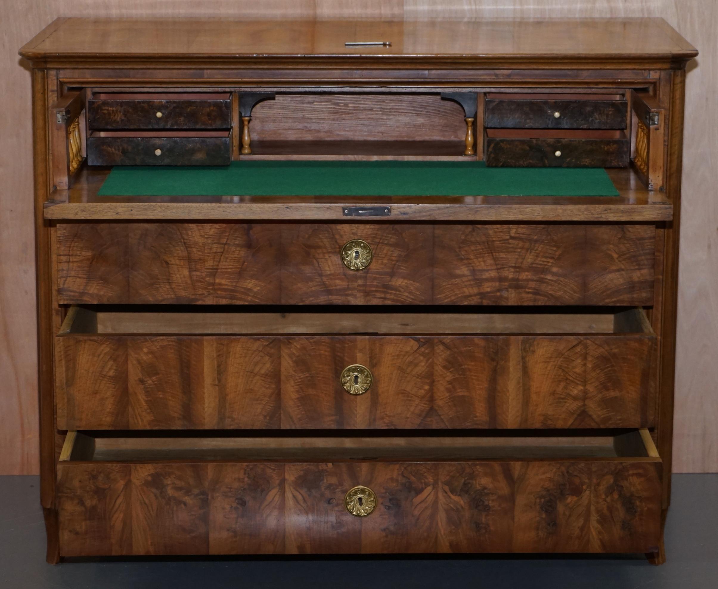 Huge 19th Century Walnut Biedermeier Chest of Drawers Drop Front Desk Secretaire 11