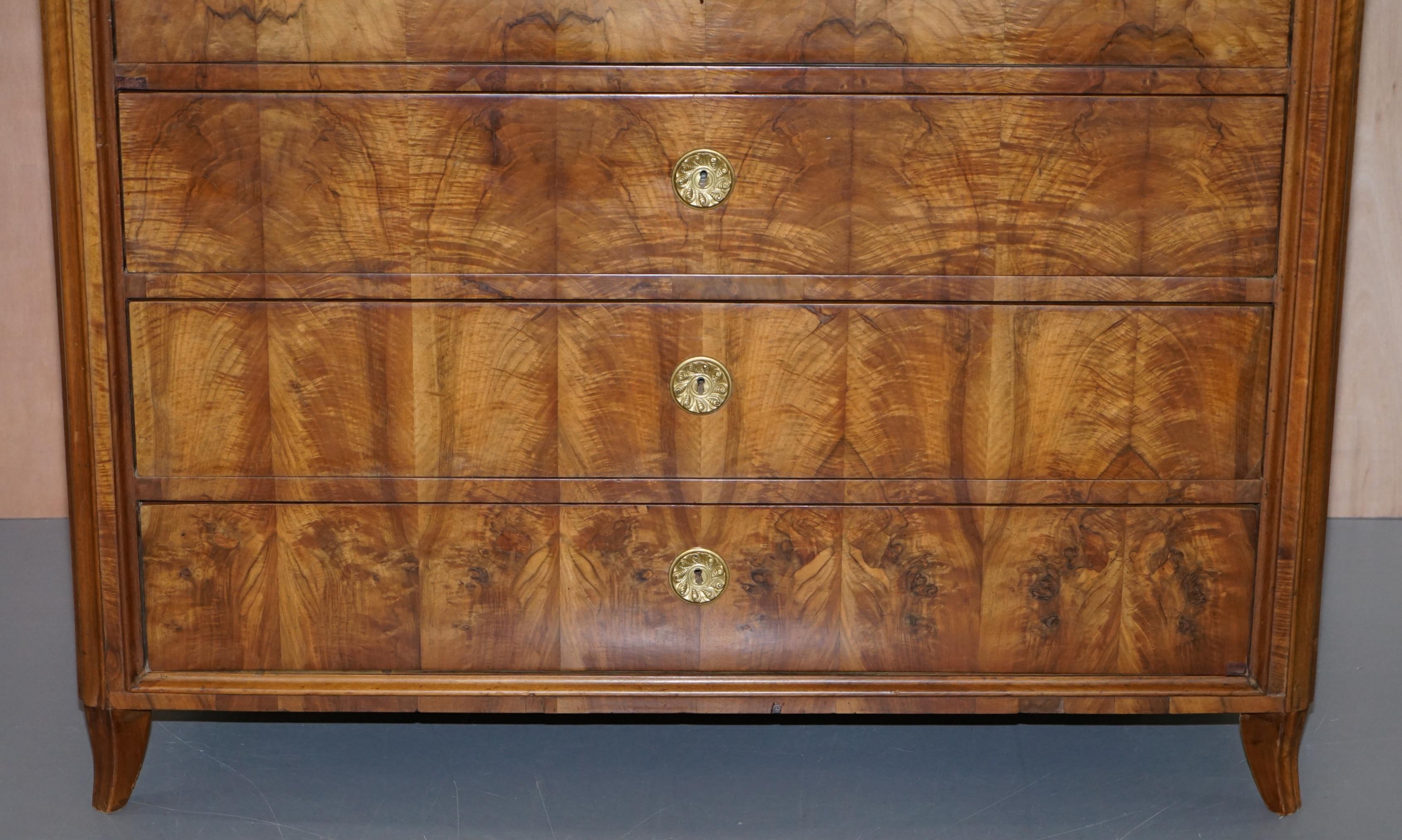 Huge 19th Century Walnut Biedermeier Chest of Drawers Drop Front Desk Secretaire 2