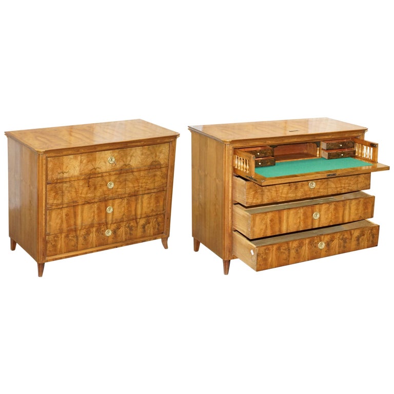 Huge 19th Century Walnut Biedermeier Chest Of Drawers Drop Front