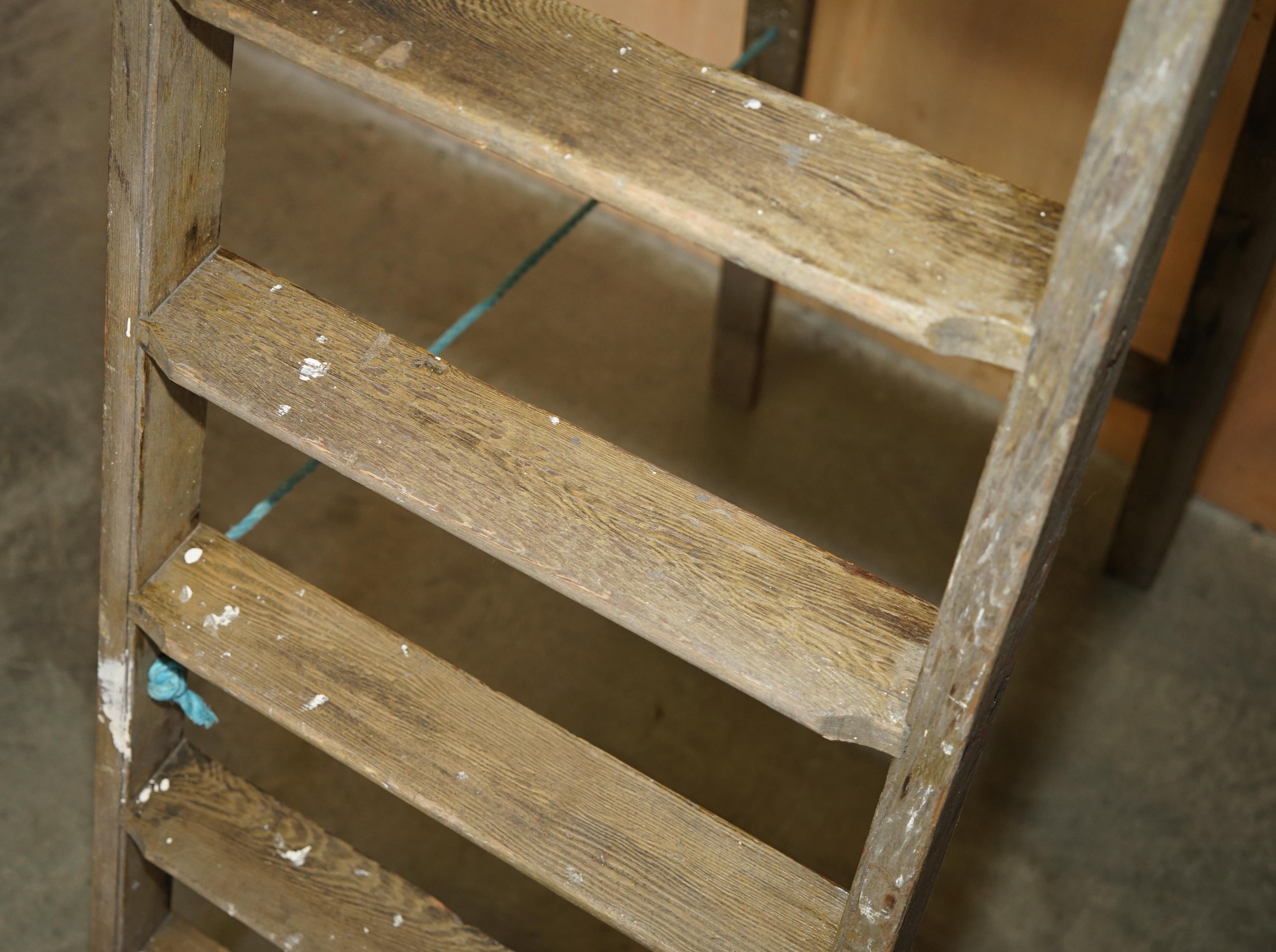 HUGE 3+ METER TALL DOE TS73 STAMPED FRUIT PICKERS PAINTERS ANTiQUE 1880 LADDER For Sale 3
